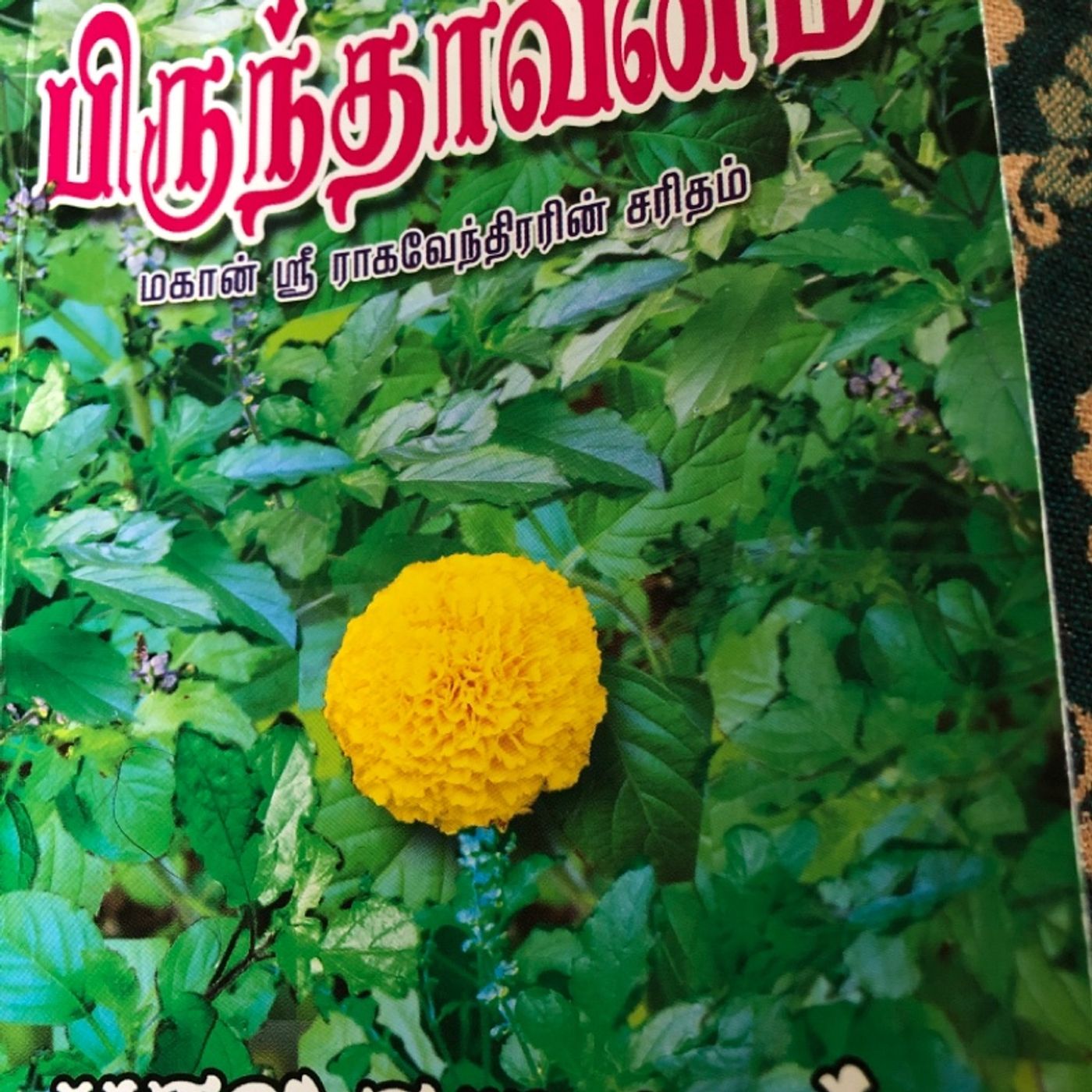 Brindavanam Bala Kumaran