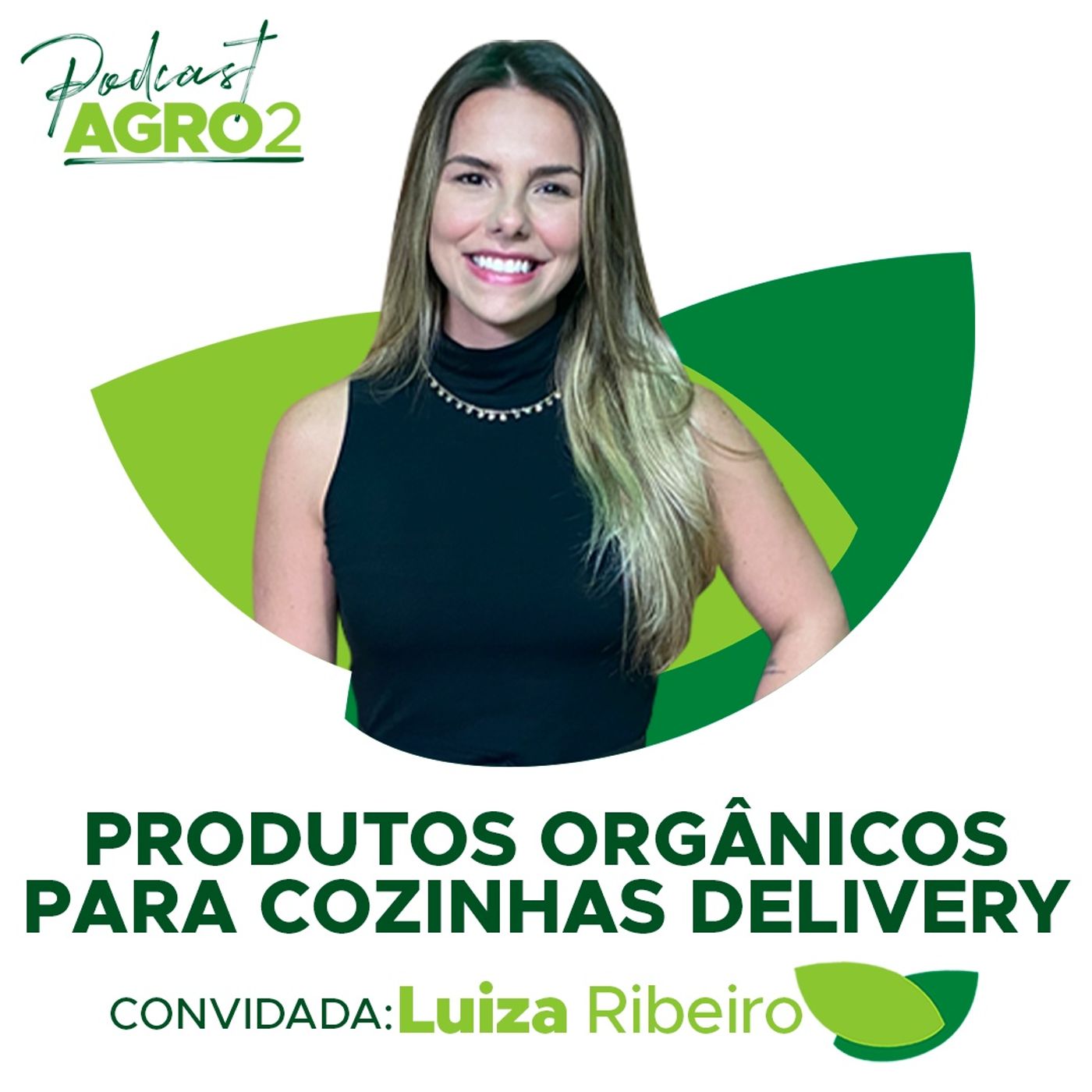 Hortifrútis orgânicos da agricultura familiar para a cozinha delivery que prepara refeições #225 episode artwork