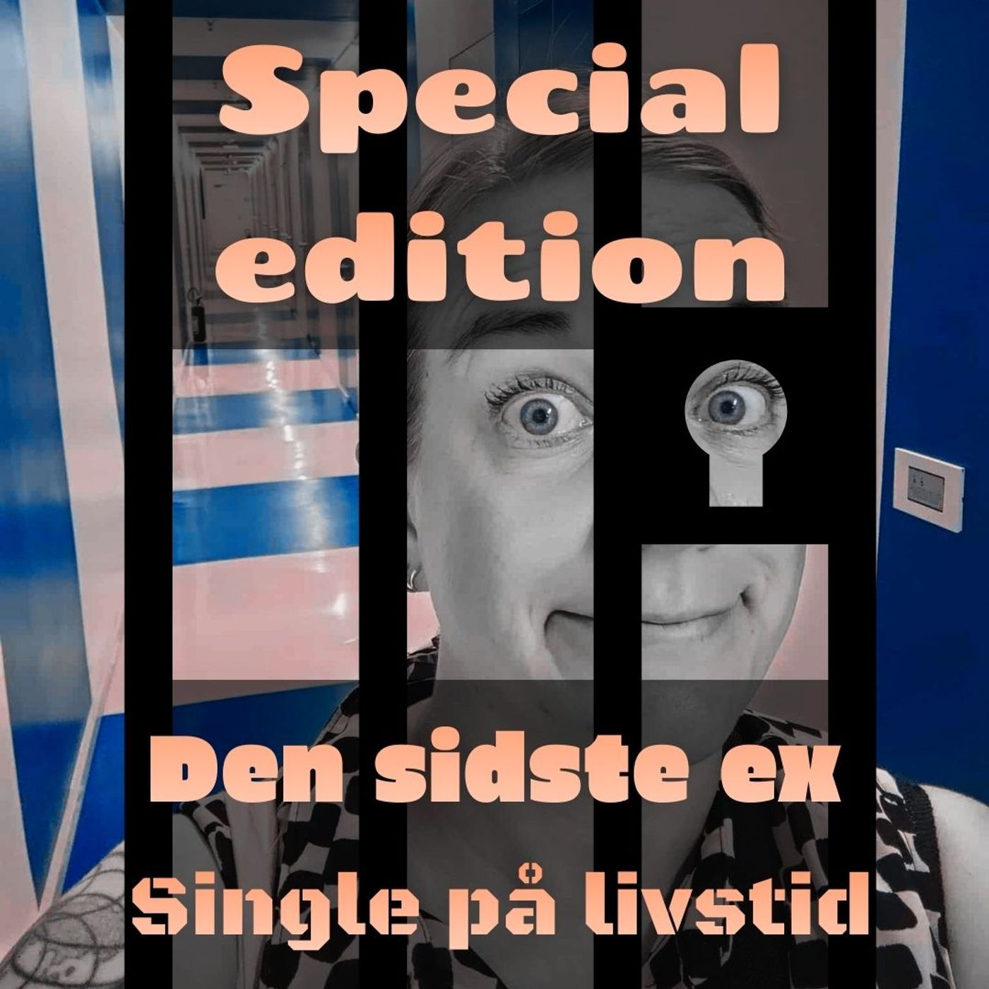 Den sidste ex