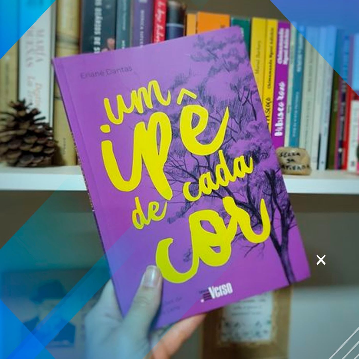 Um ipê de cada cor episode artwork