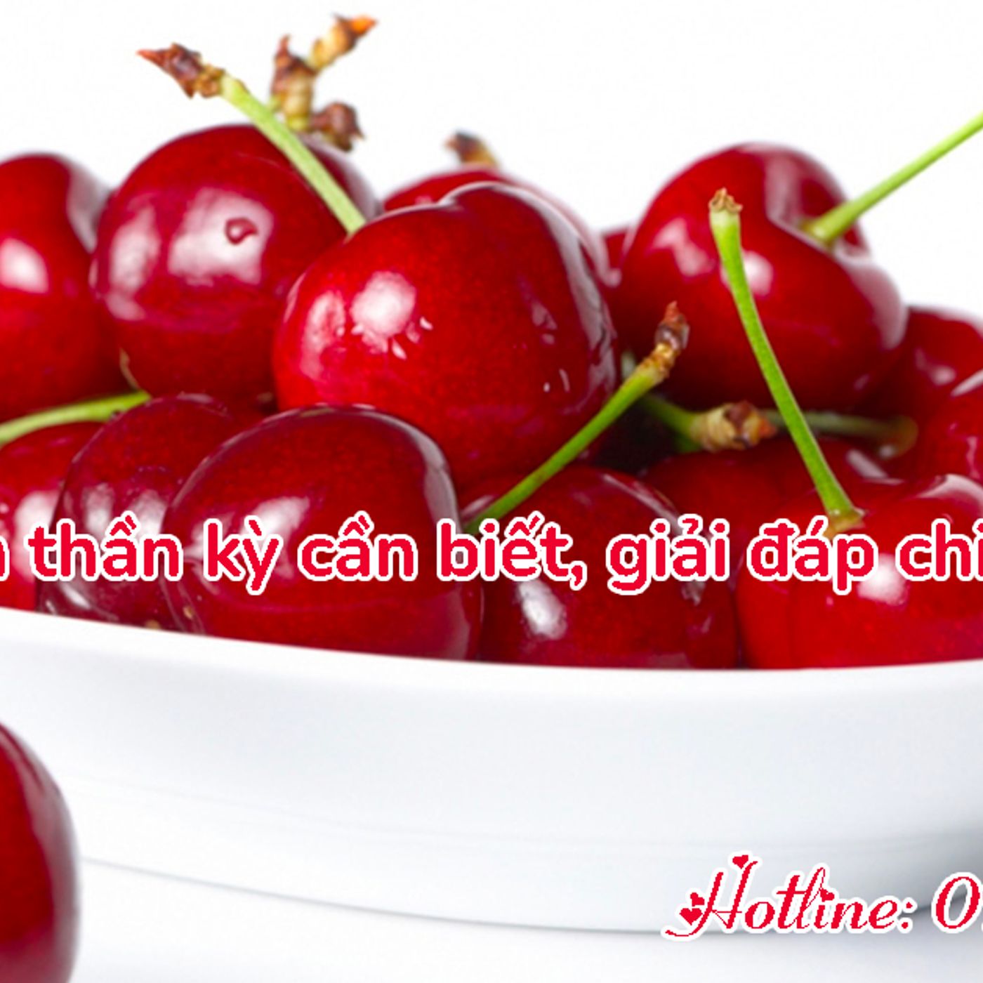 Đồ lót giá sỉ - Áo ngực, áo bra, quần lót nữ chất lượng cao!