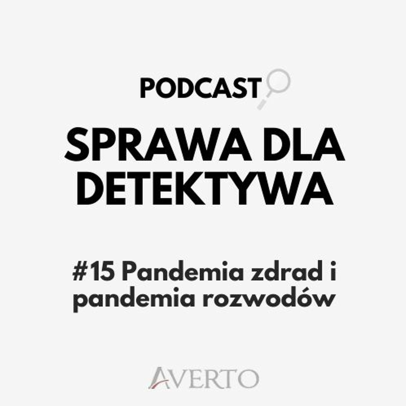 Sprawa dla detektywa