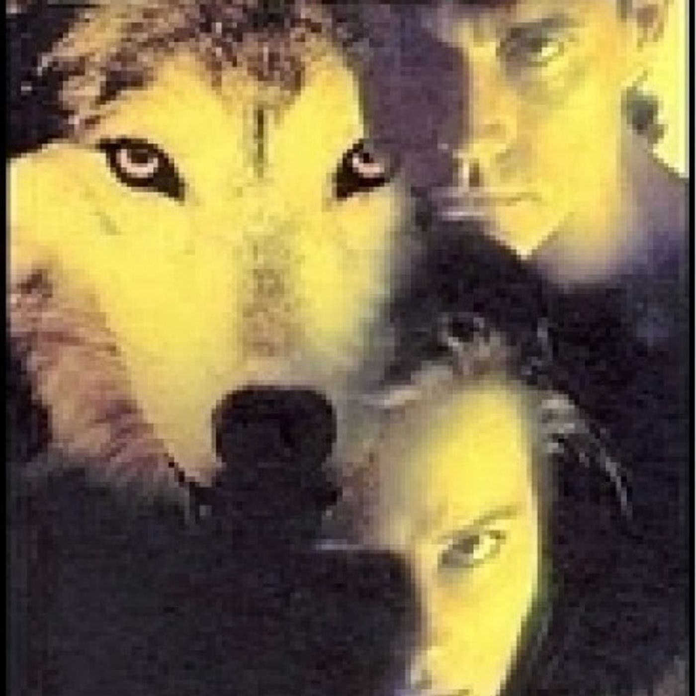 Historias de los Libros