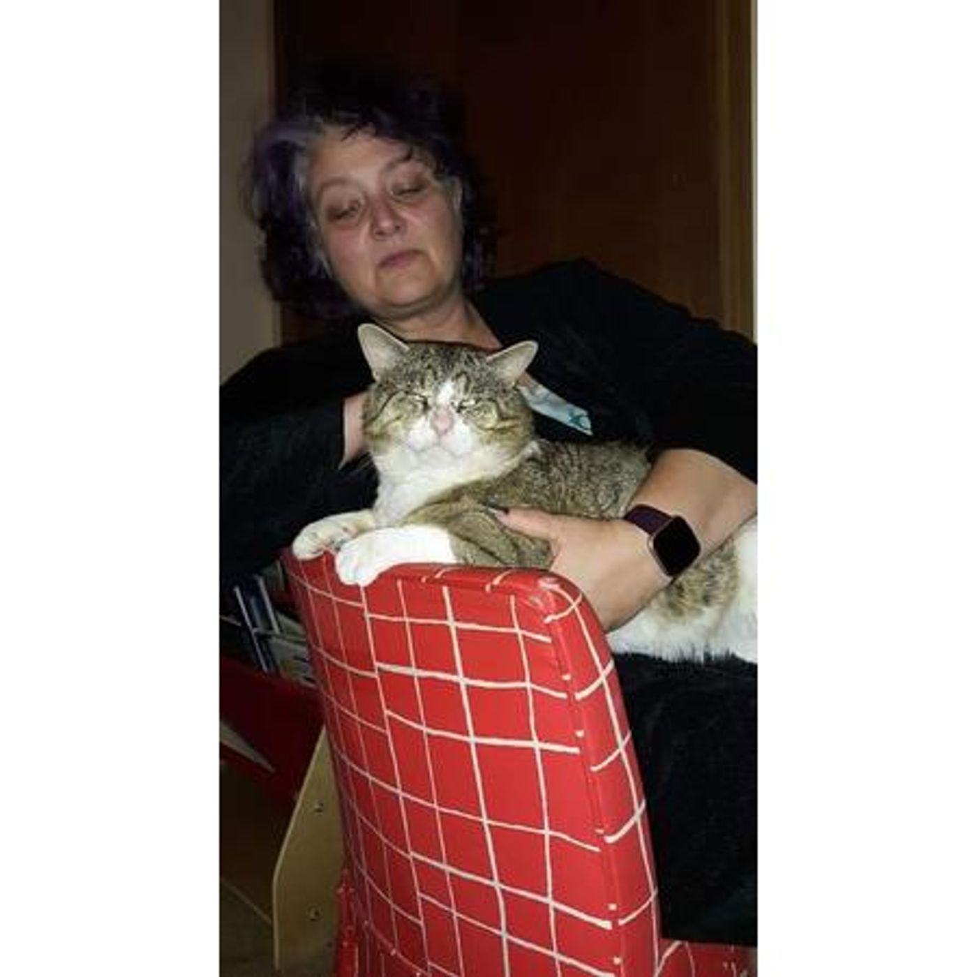 Desperate House Witches