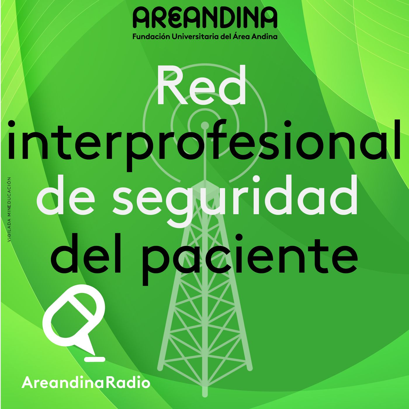 Red interprofesional Colombiana de seguridad del paciente
