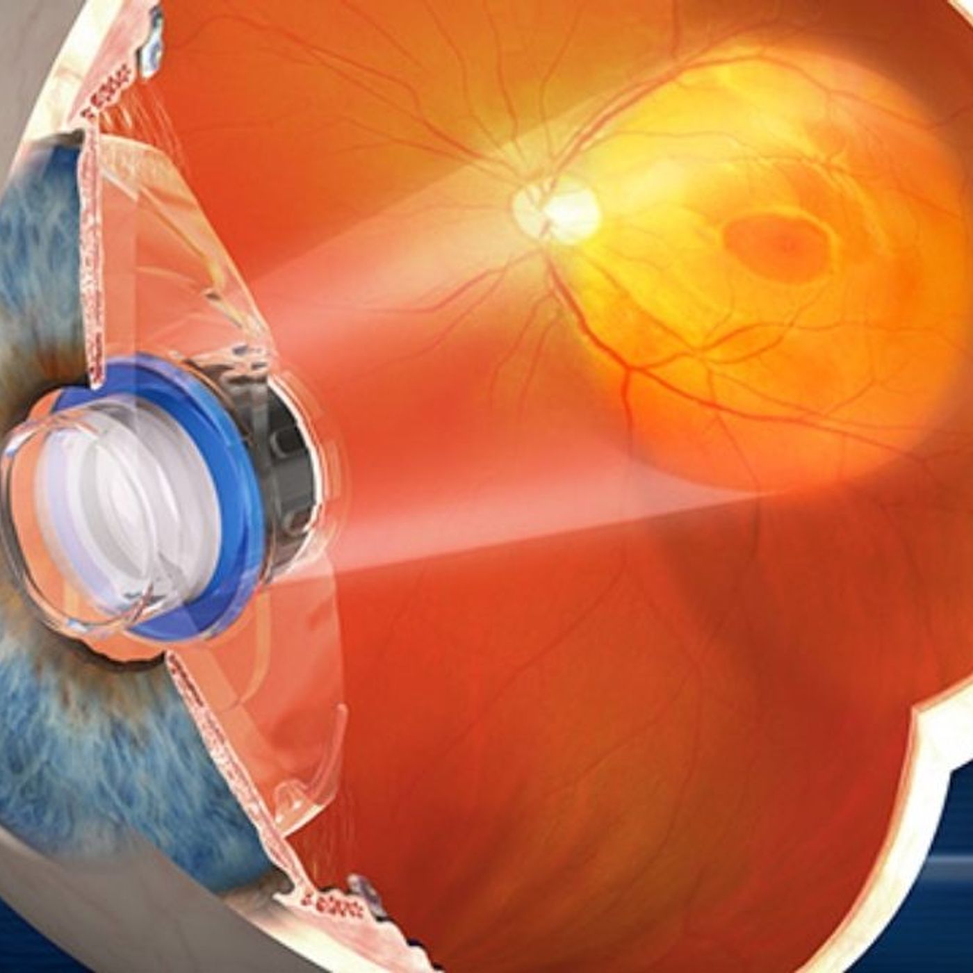 The Eye News