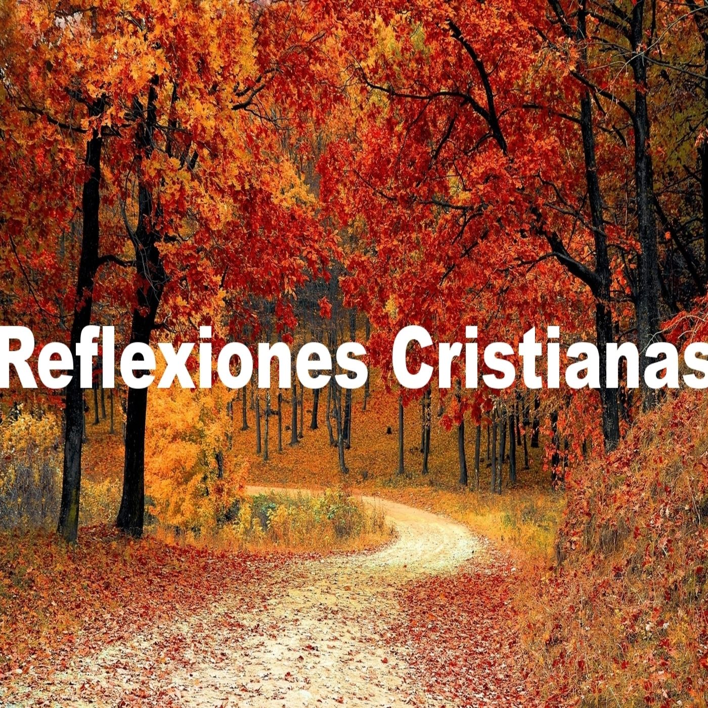 Reflexiones Cristianas