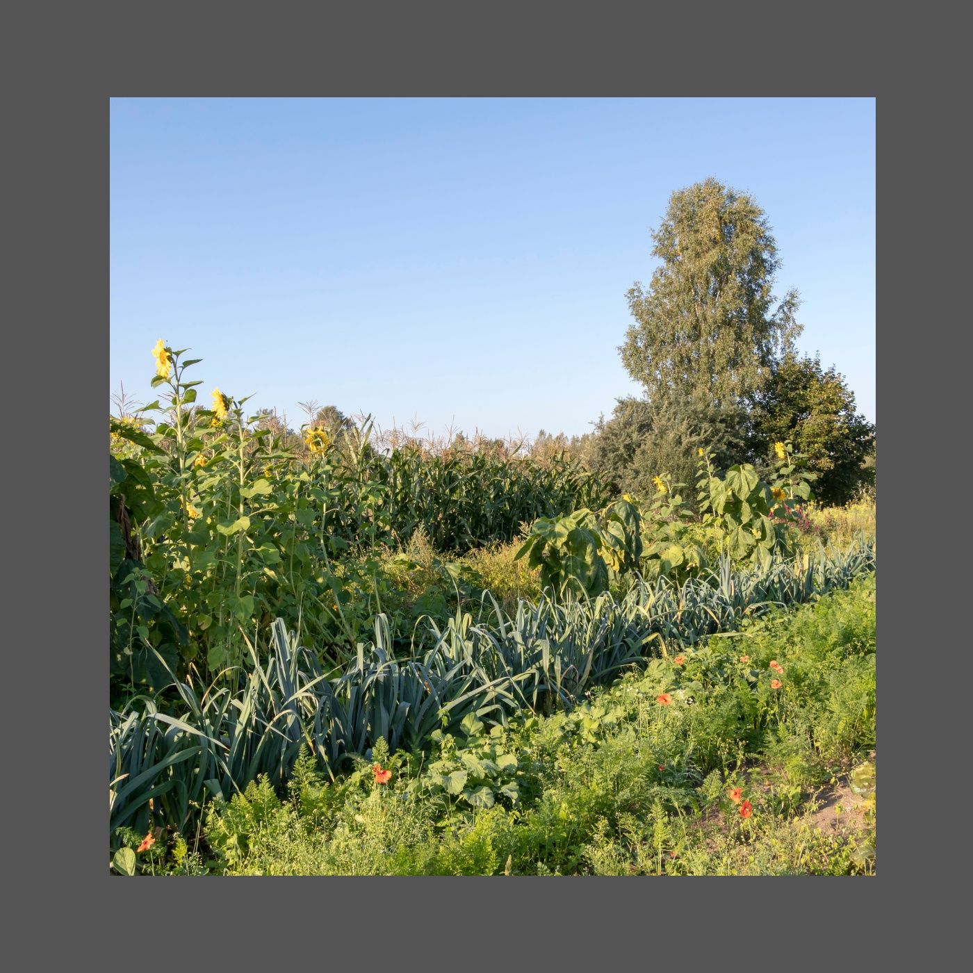 Giardino Futuro