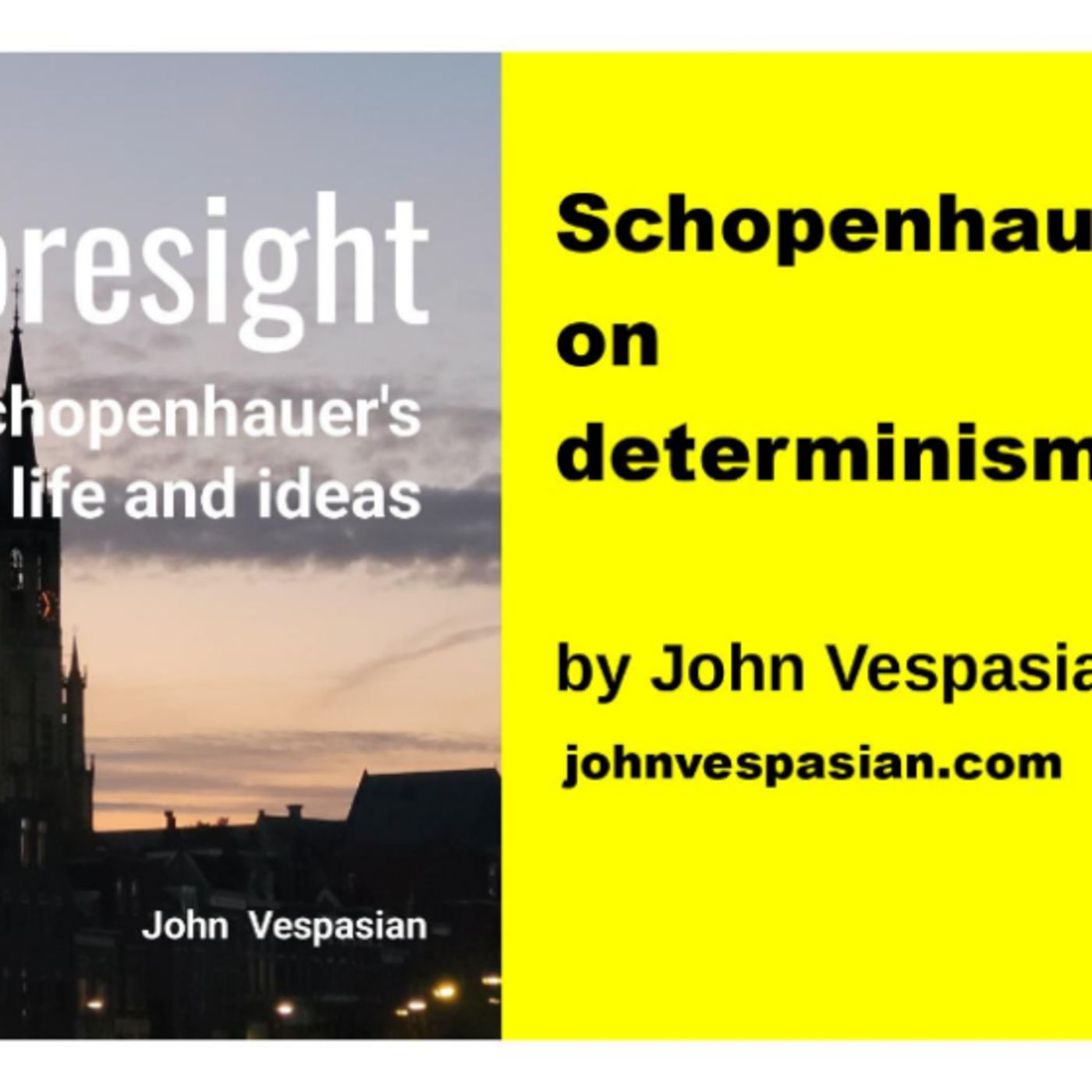 Schopenhauer on determinism episode artwork
