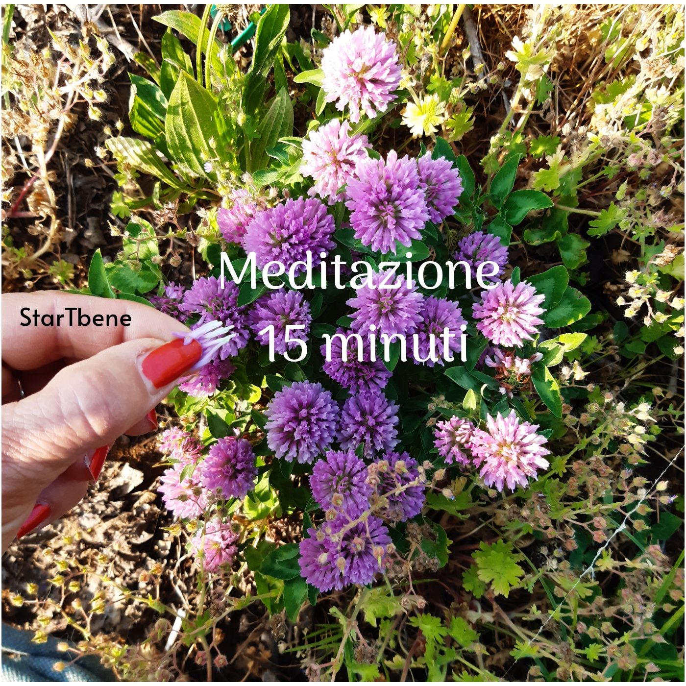 Startbene Meditazione 15 minuti