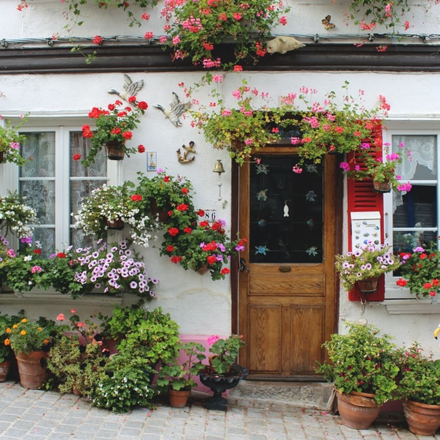 Historias de Miedo Marzo 11 de 2022 MI MADRE SIGUE EN LA CASA