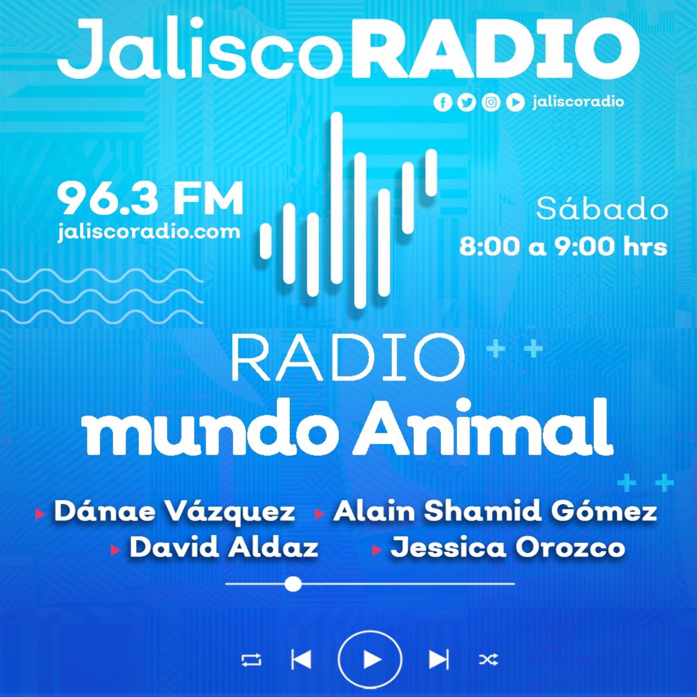 El podcast de Ali S. H.