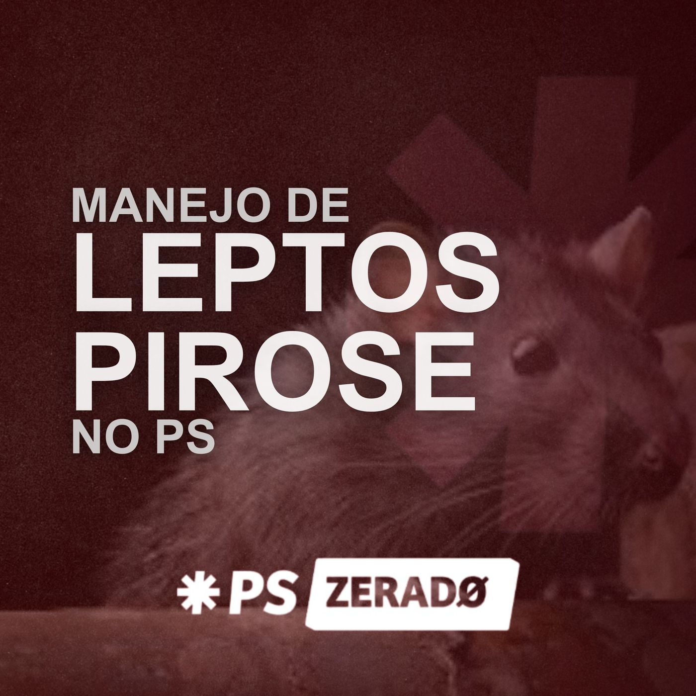 | PS Zerado |