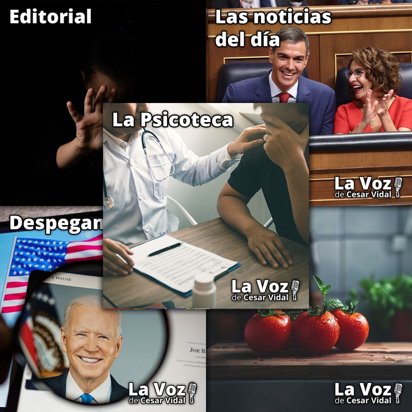 Programa Completo de La Voz de César Vidal - 08/10/25 episode artwork
