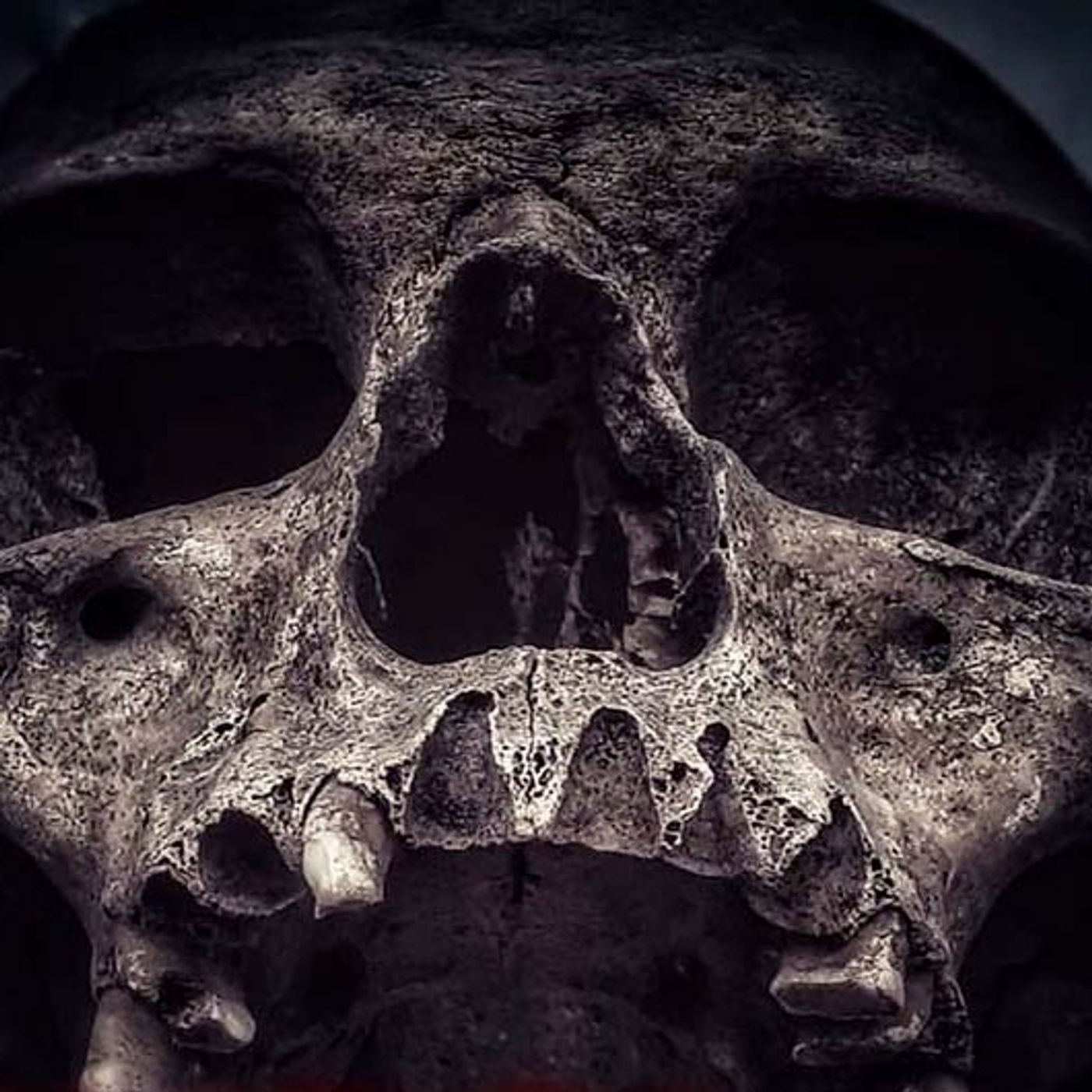 El Cráneo Negro Historias De Terror - REDE