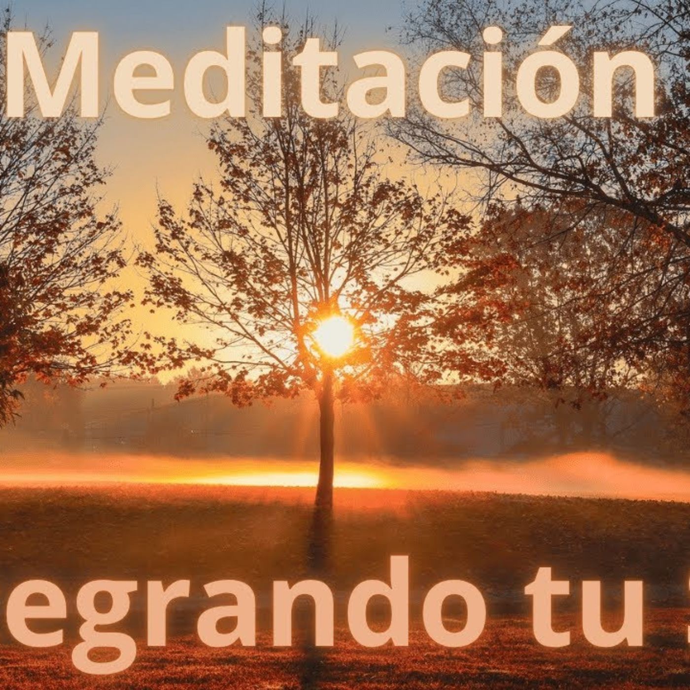 Activa Tu Sol Interior 🌞 | Meditación Guiada 🧘‍♂️ Para Brillar con Confianza 💛 #SolEnLeo #MeditaciónGuiada #Autoconocimiento episode artwork