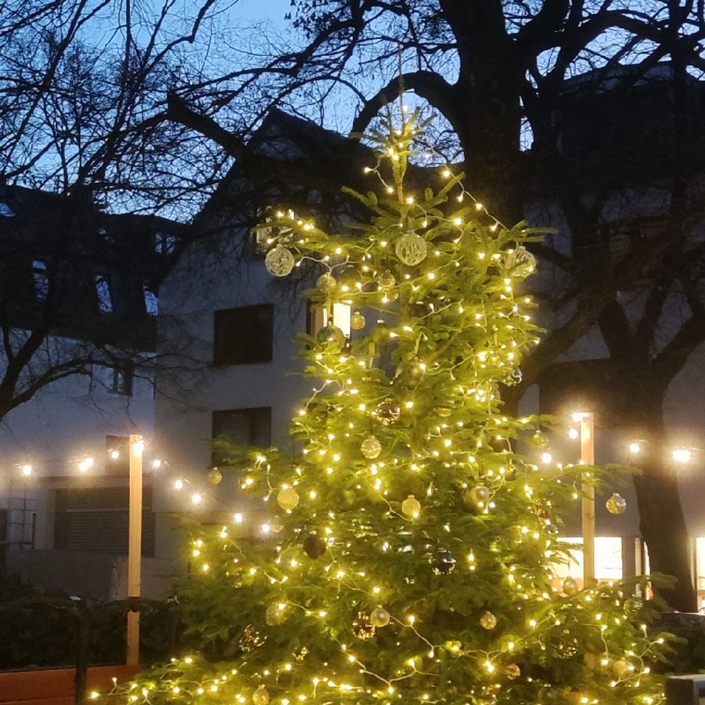 Folge 12 Wie verbringst du Weihnachten? episode artwork