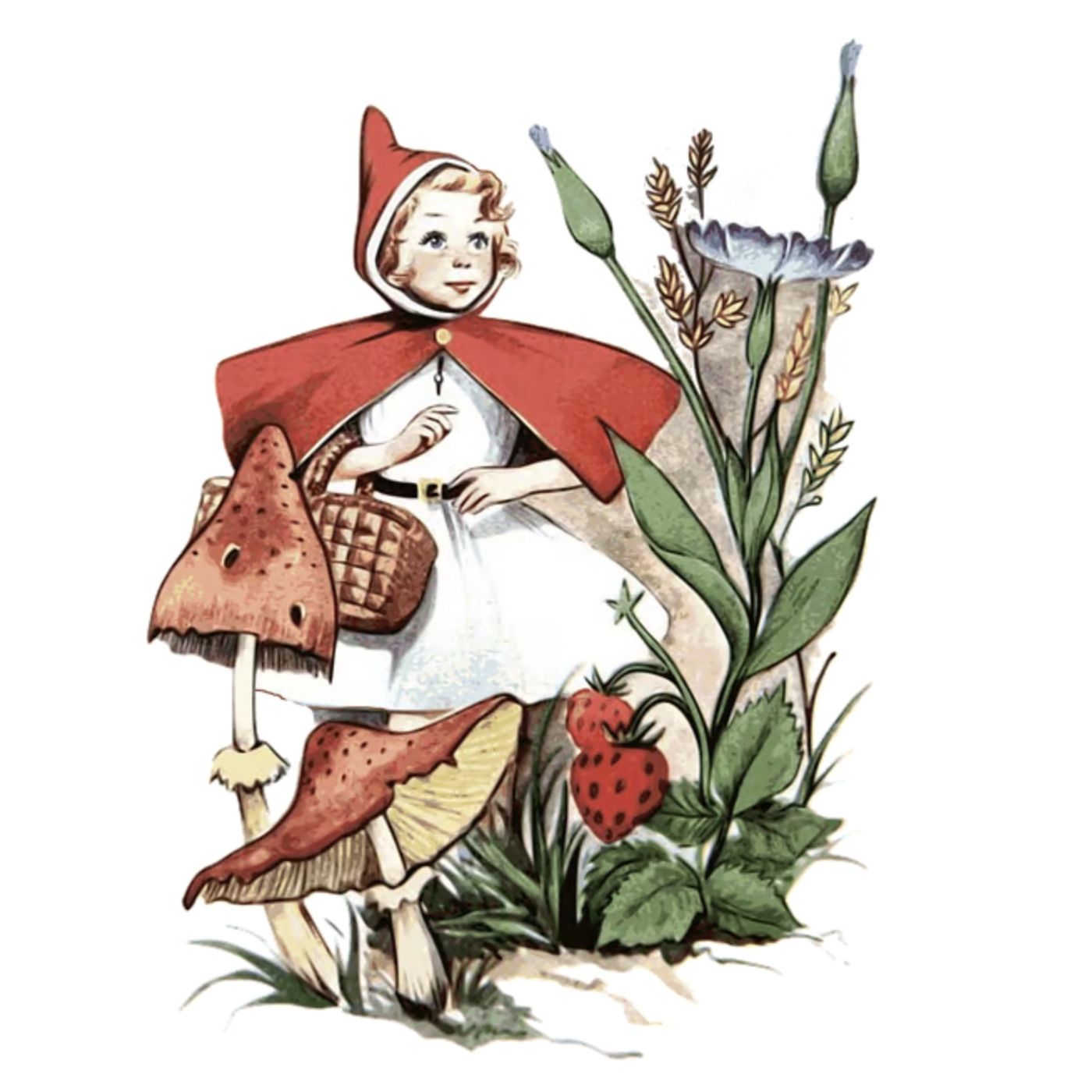 Little Bud | Stories About Nature episode artwork