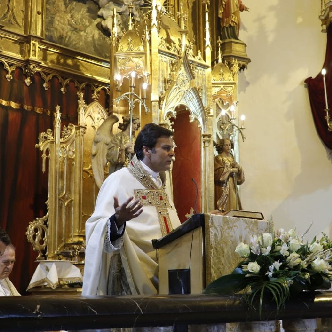 Meditaciones Y Homilías