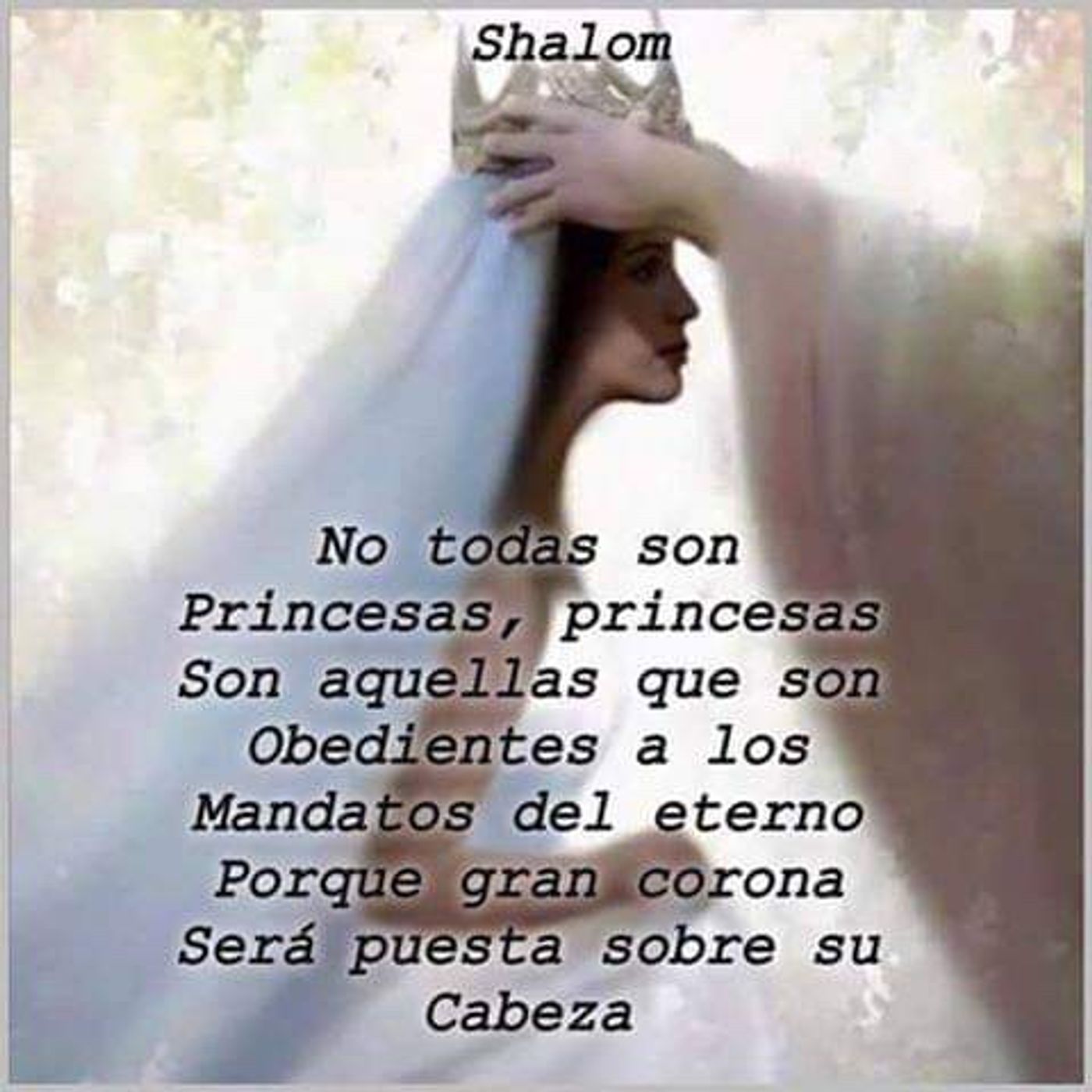 El show de Alma