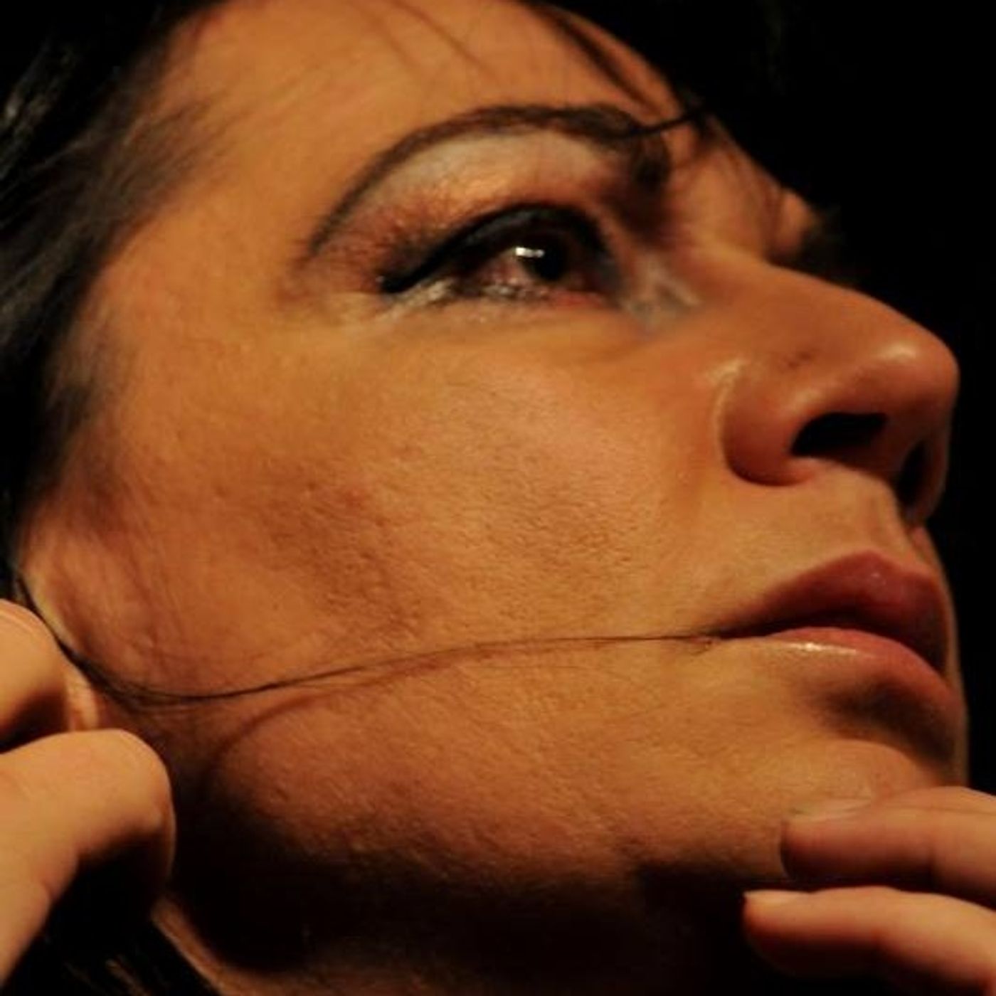 Intervista a Simona Selvini episode artwork