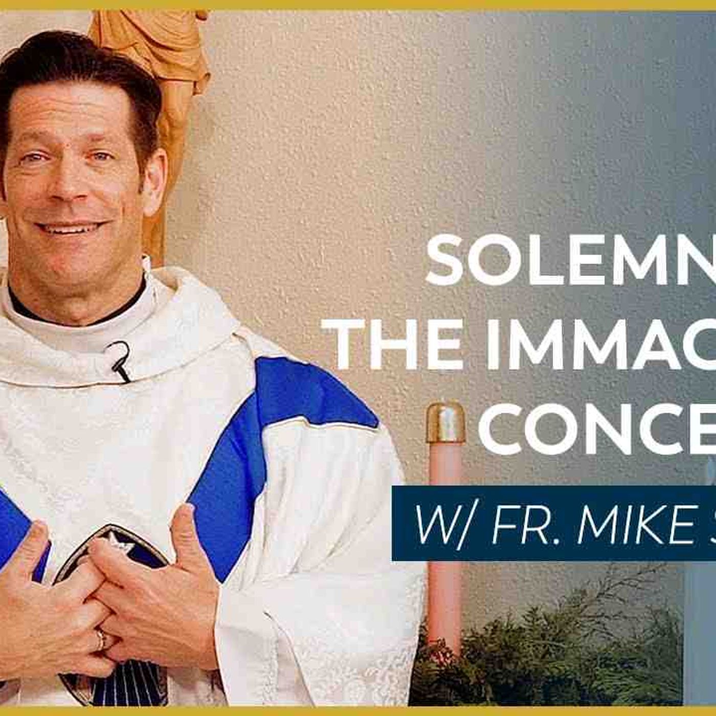 Solemnity of the Immaculate Conception - Mass with Fr. Mike Schmitz(MP3_160K)