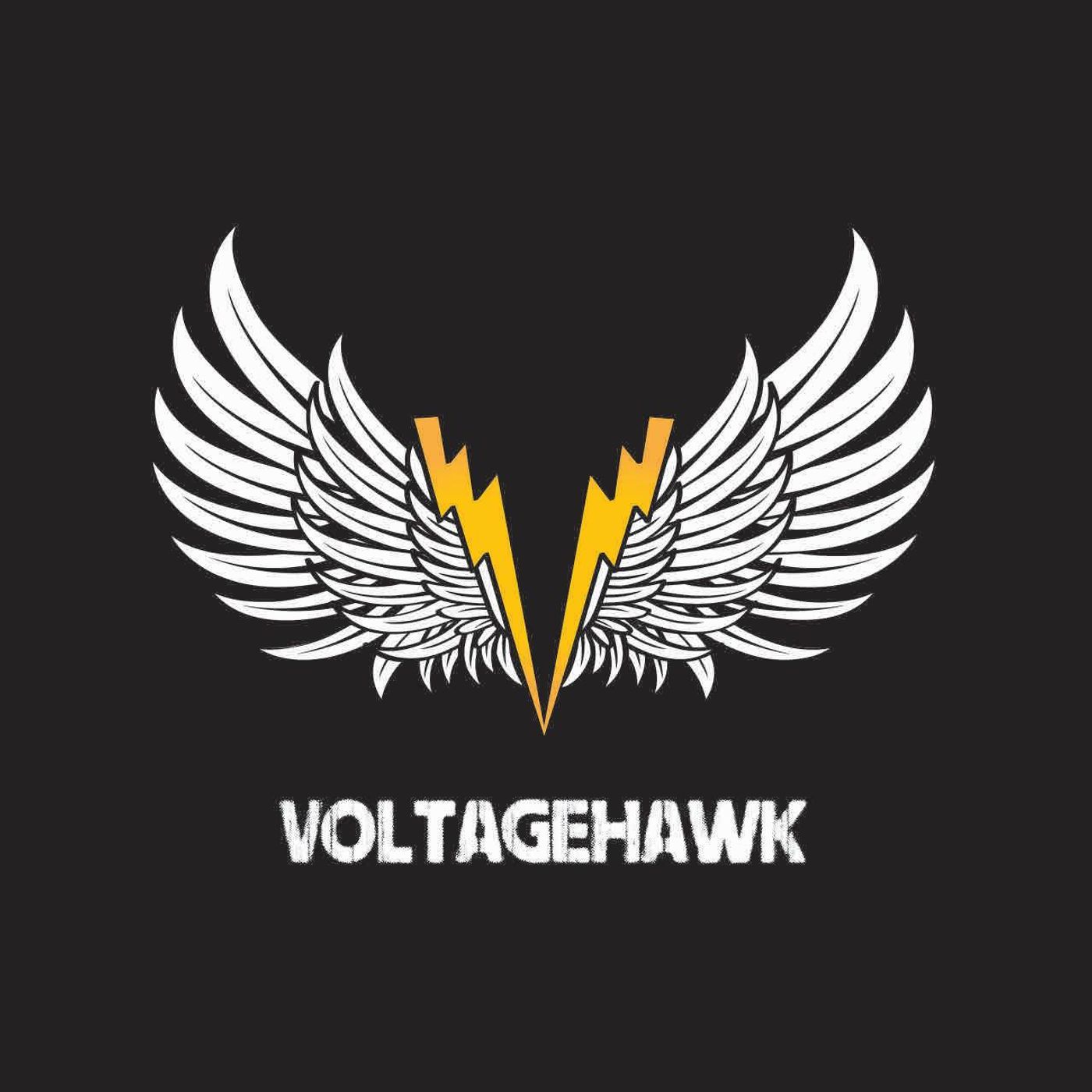 It's electric my interview with Voltagehawk