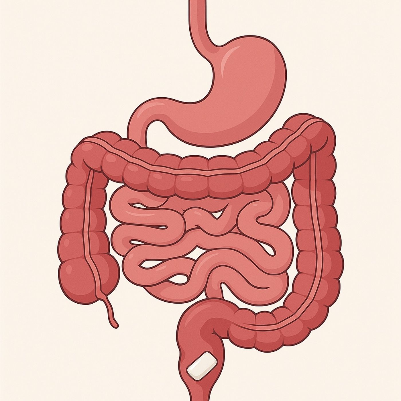 ¿Alguna vez te dijeron que si tragas un chicle, se quedará en tu estómago durante siete años?