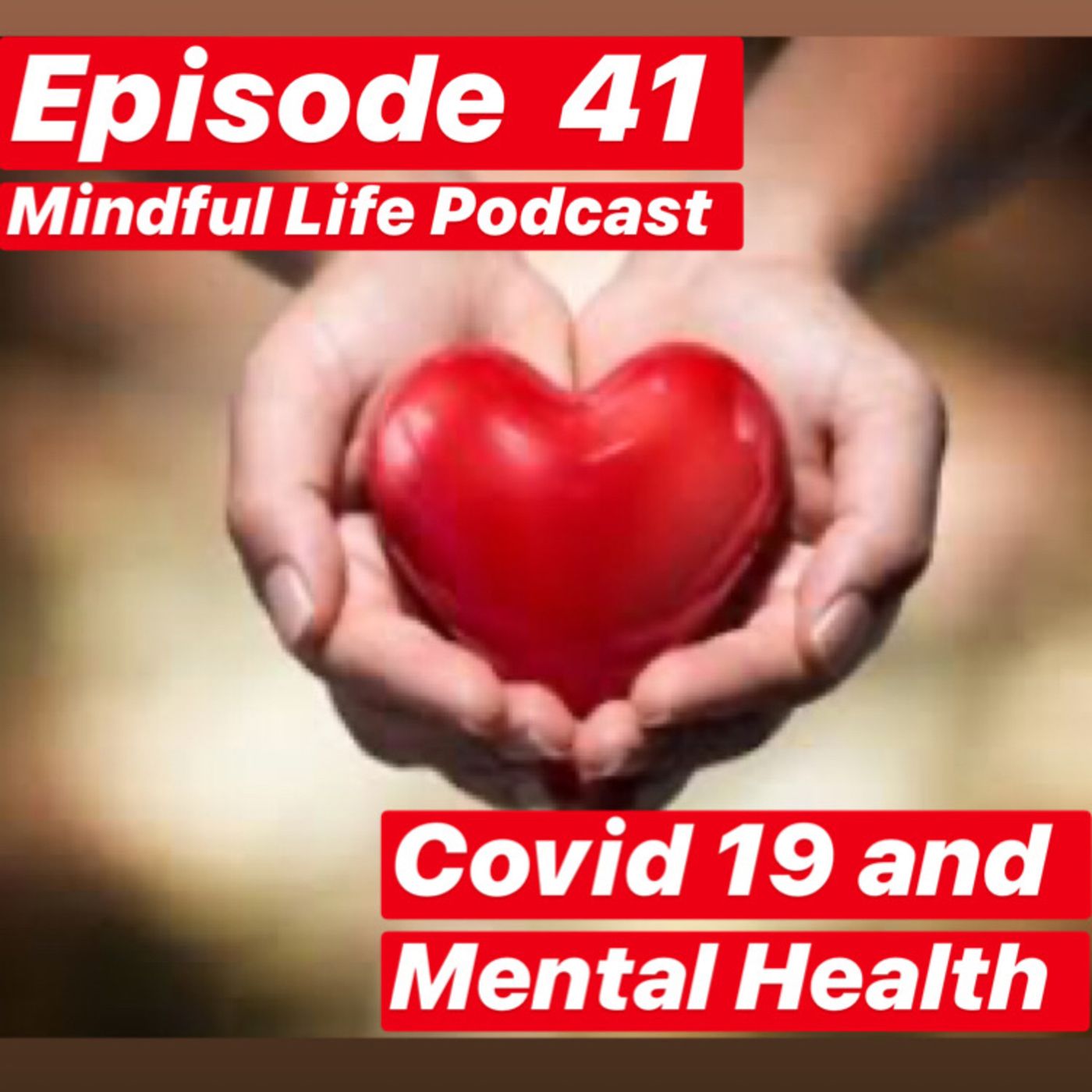 Mindful Life Podcast