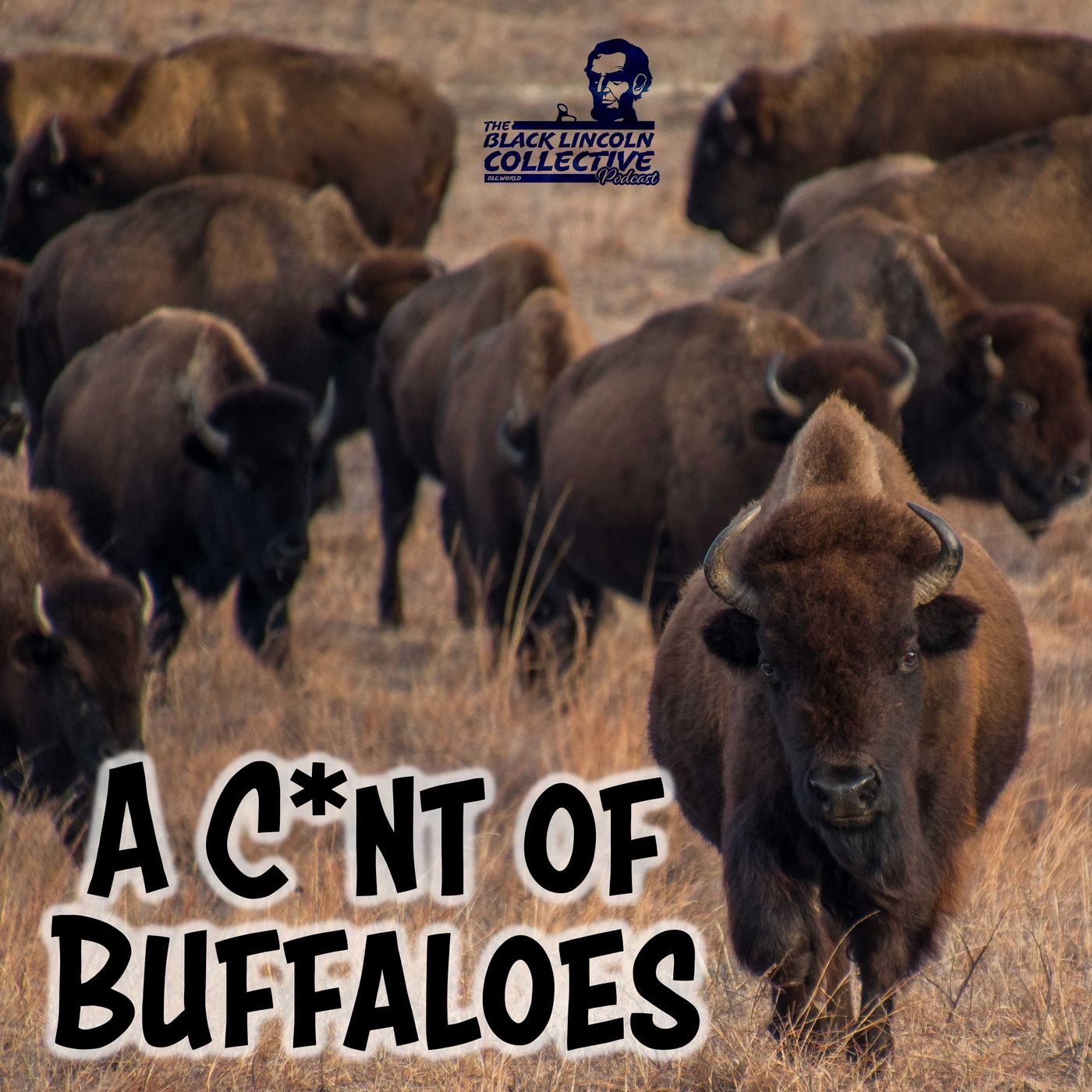 Black Lincoln Collective Podcast