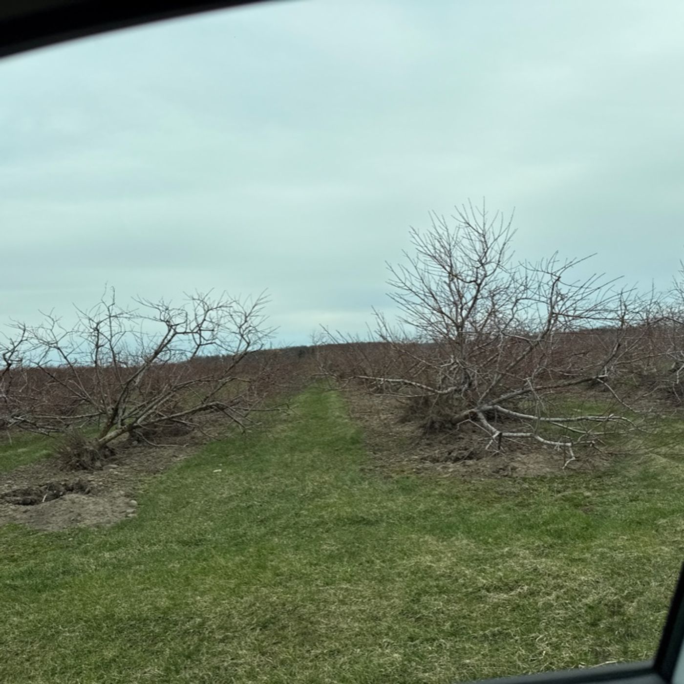 A little Friday check in