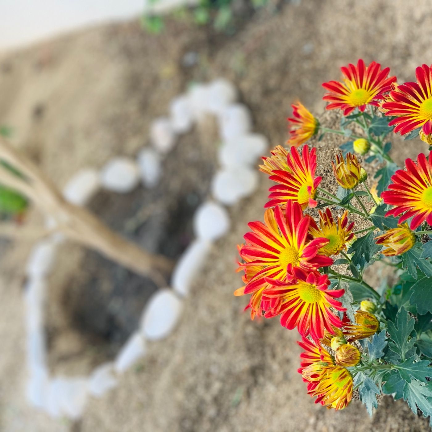 Elige Bien Tu Imagen corporativa,Tips!