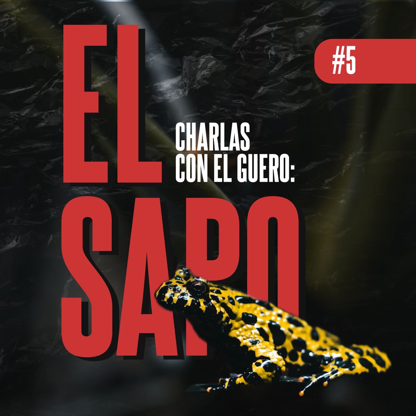 Charlas con el Güero #5: El sapo episode artwork