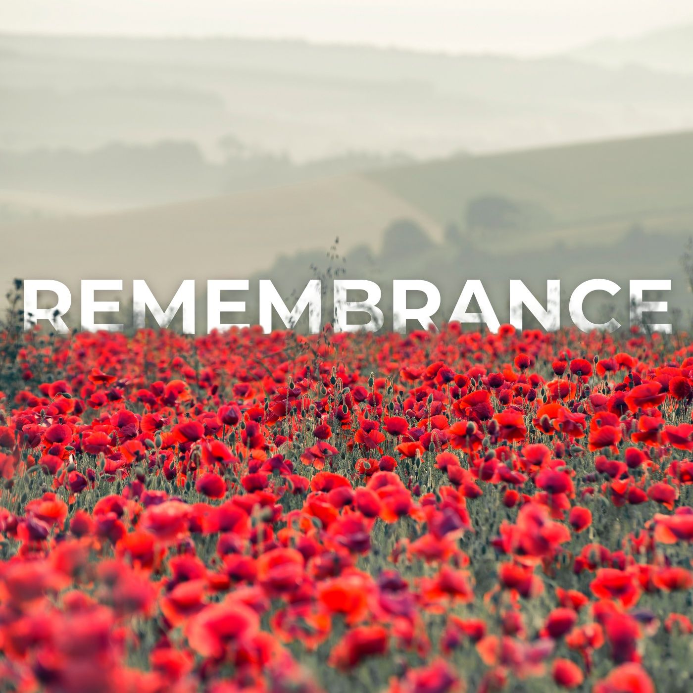 Remembrance Sunday (Roo Miller) episode artwork