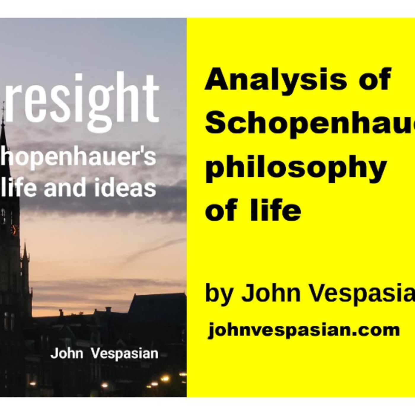Analysis of Schopenhauer’s philosophy of life episode artwork