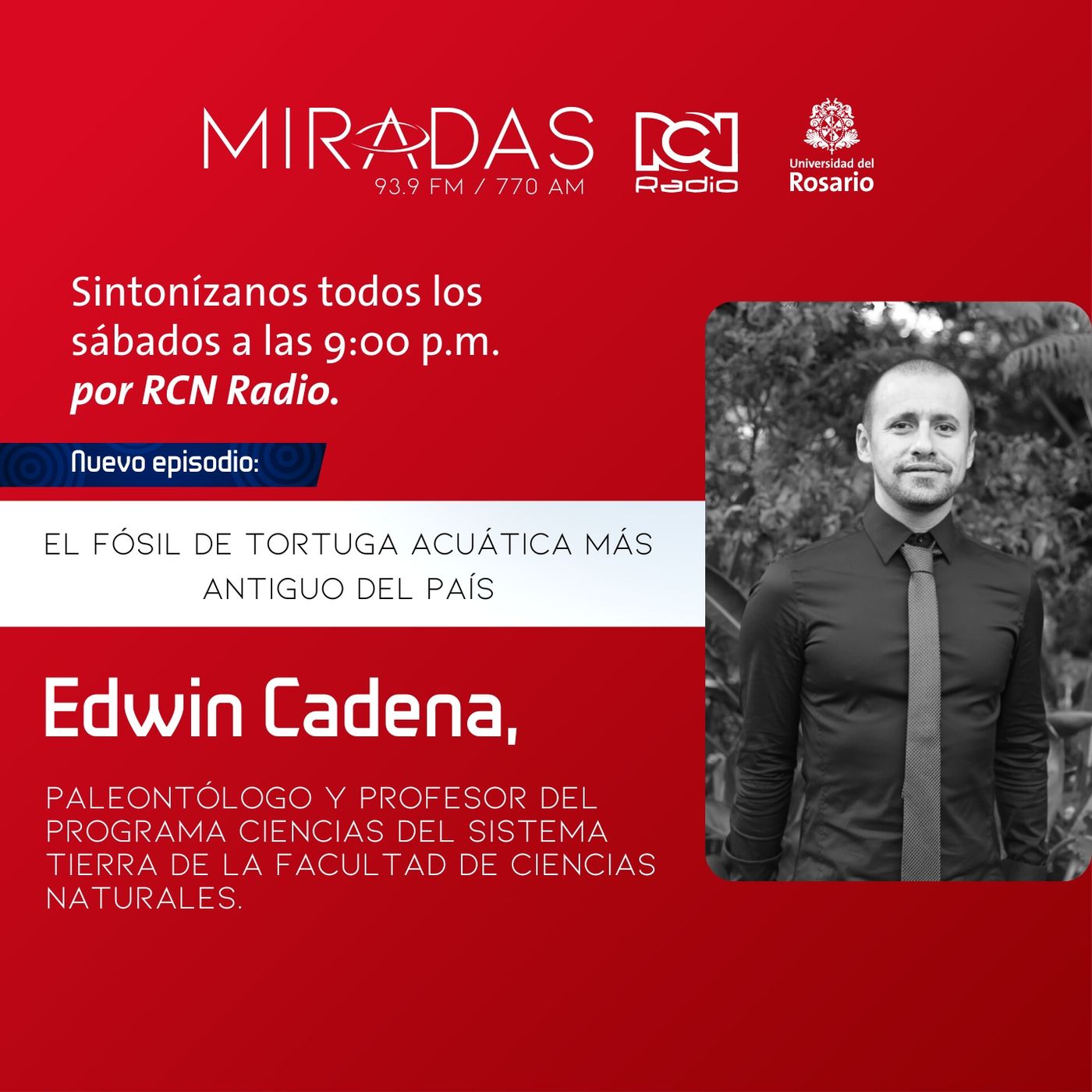 Miradas RCN