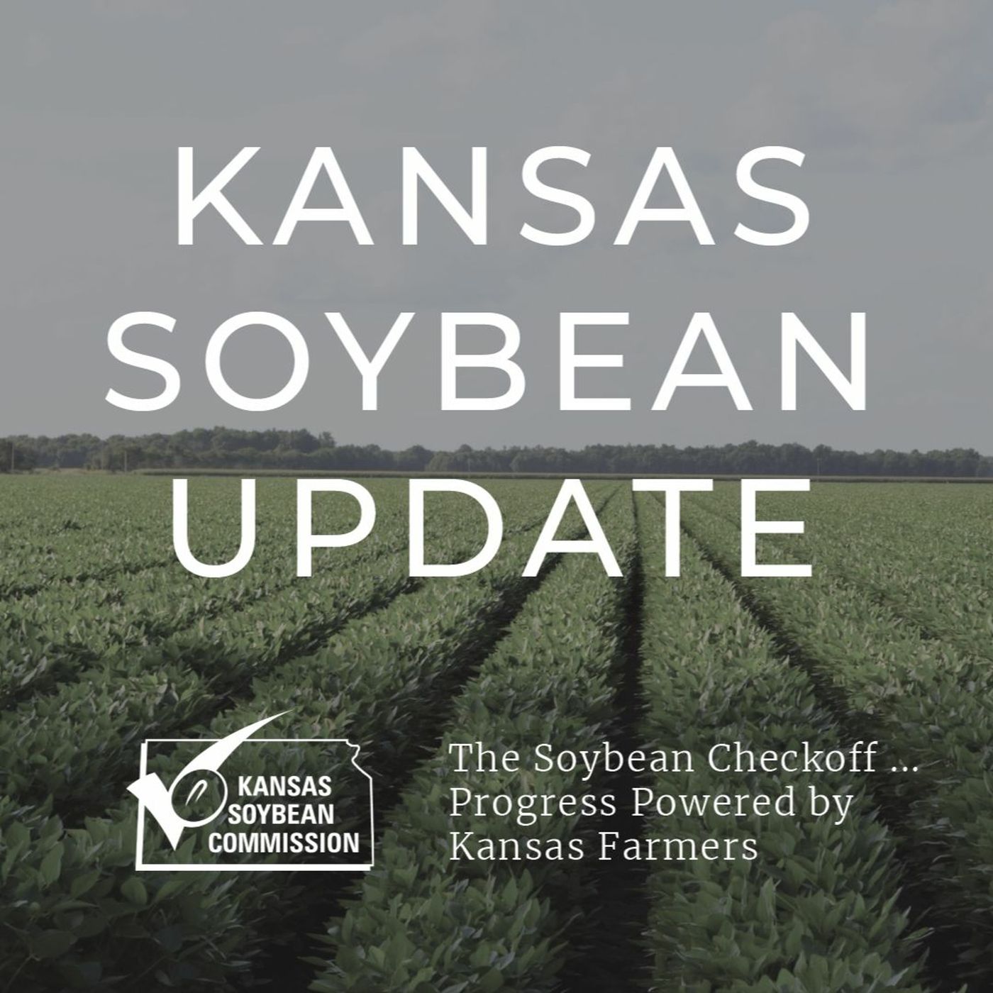 Kansas Soybean Update