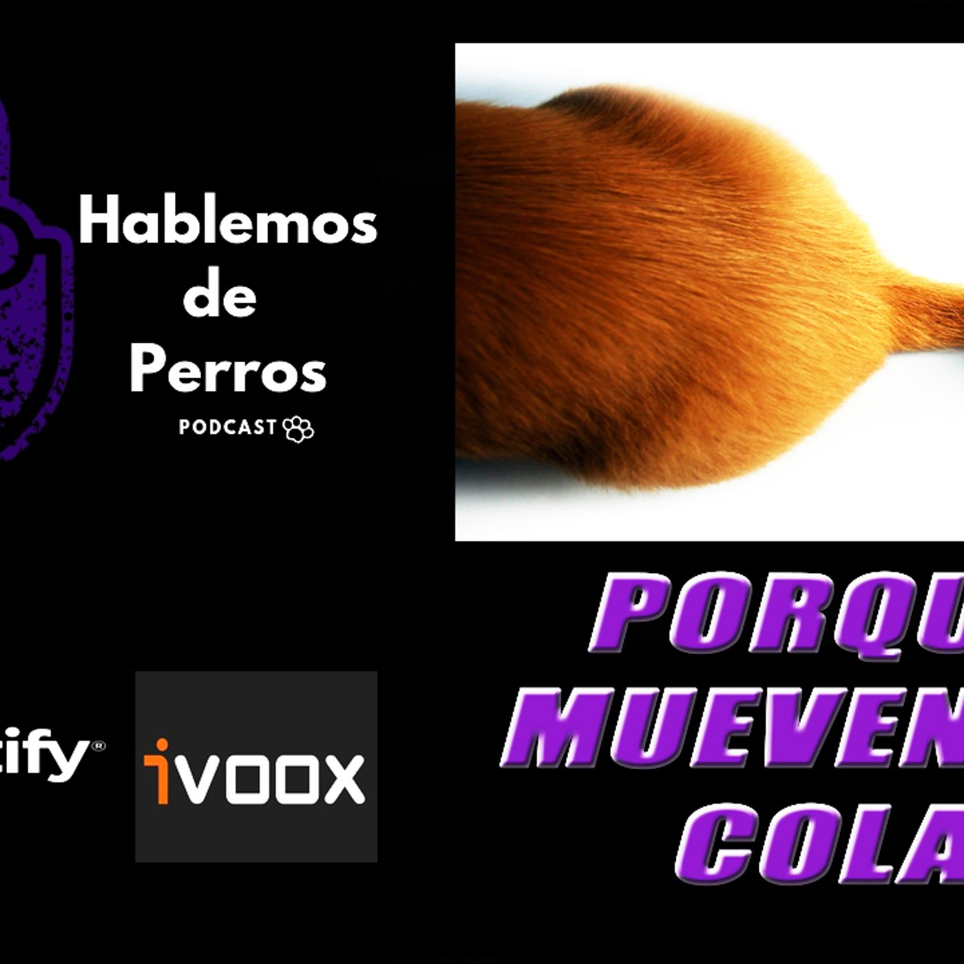 Hablemos de perros