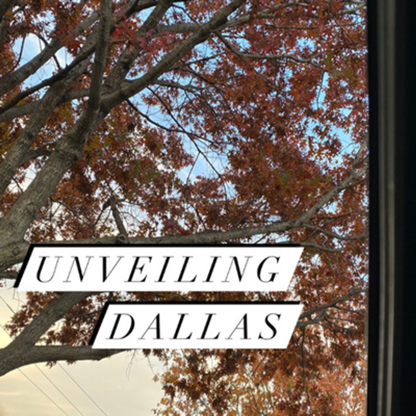Unveiling Dallas
