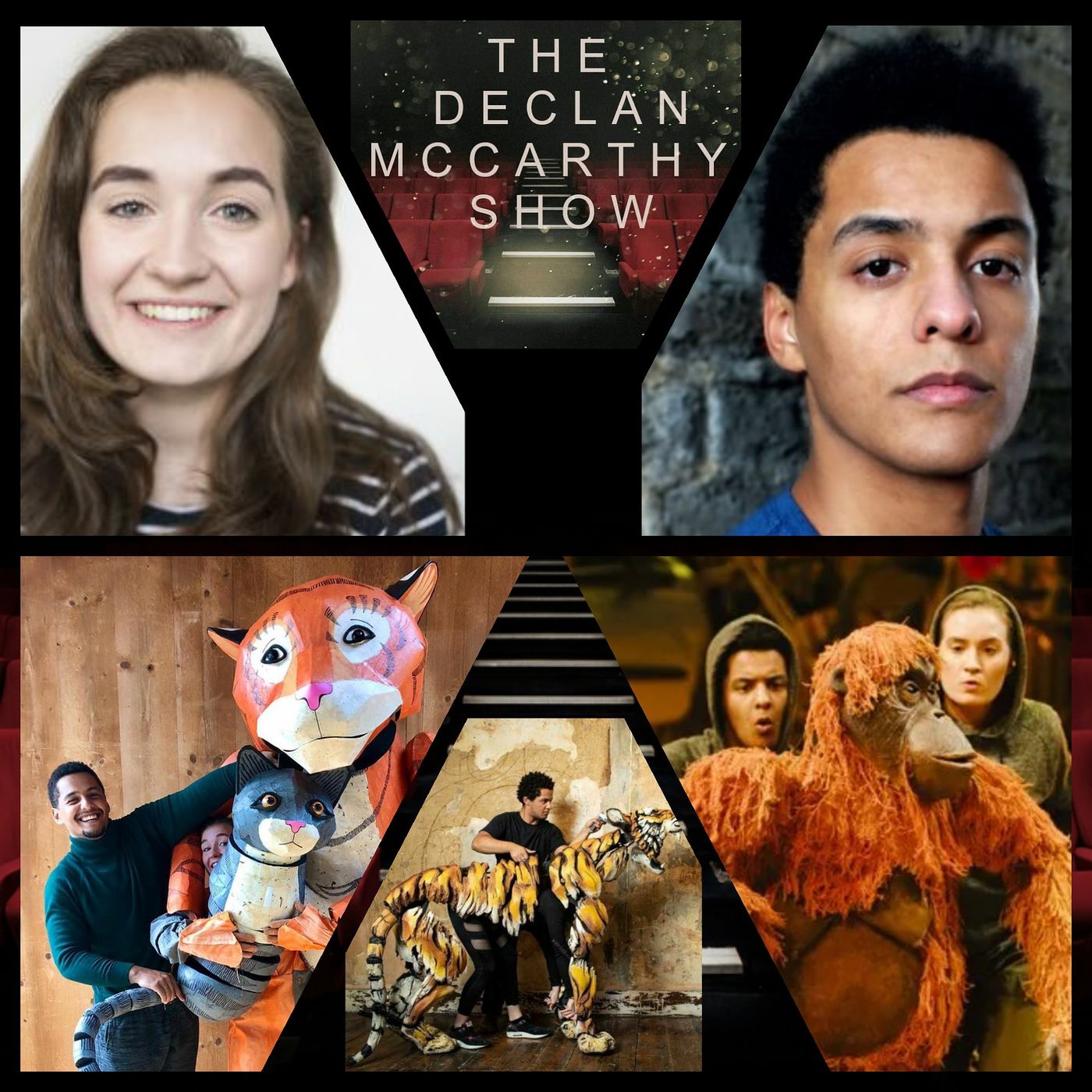 The Declan McCarthy Show