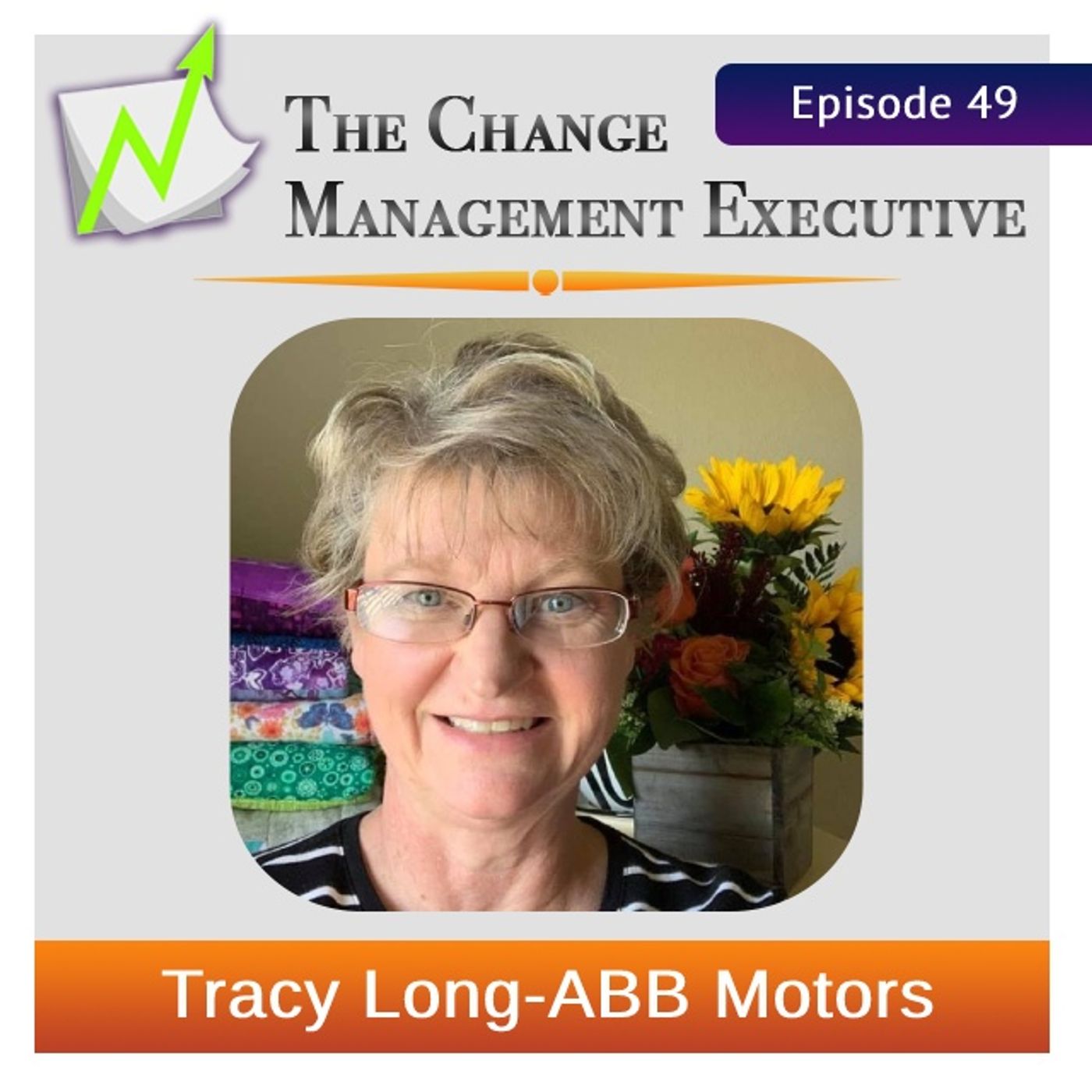 "Incremental Change via Stories" with Tracy Long - podcast episode cover