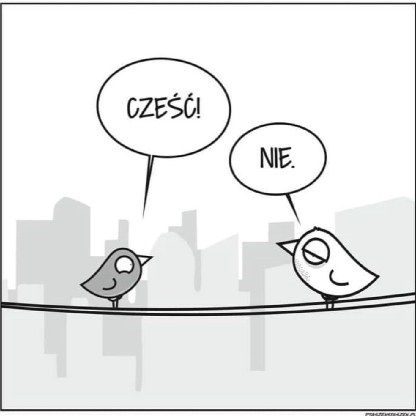 Tańcząc z Wiatrem