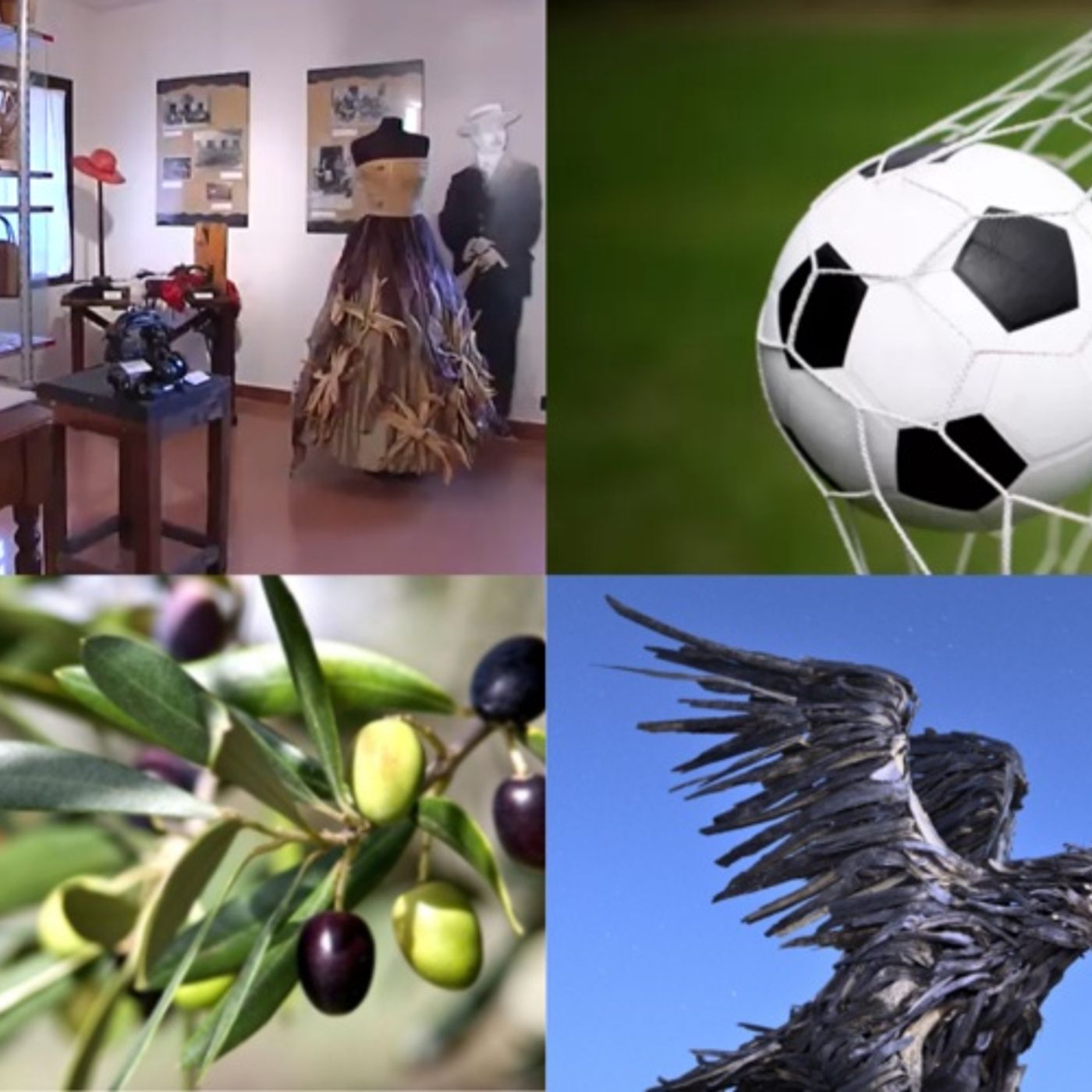 Tradizione contadina, calcio femminile, olivi e Aquila Vaia: ecco gli eventi del weekend episode artwork