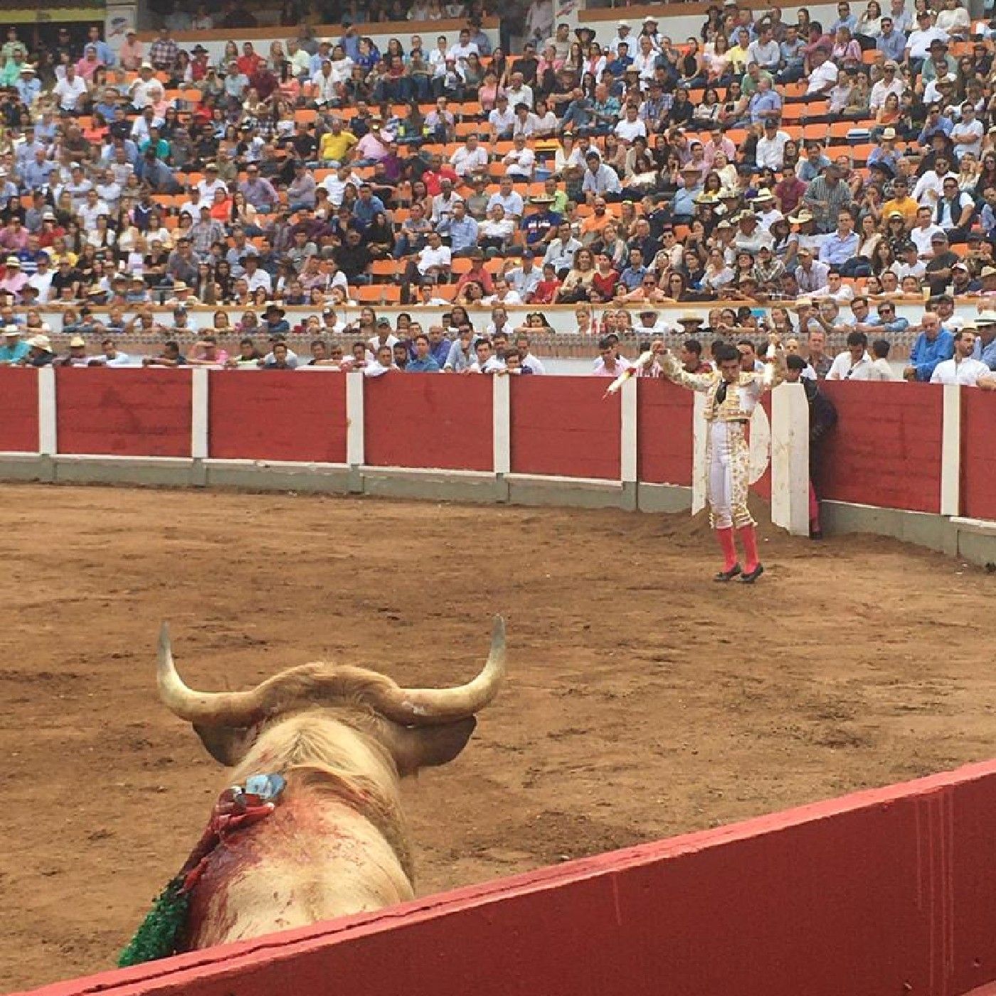 Entrevistas Taurinas