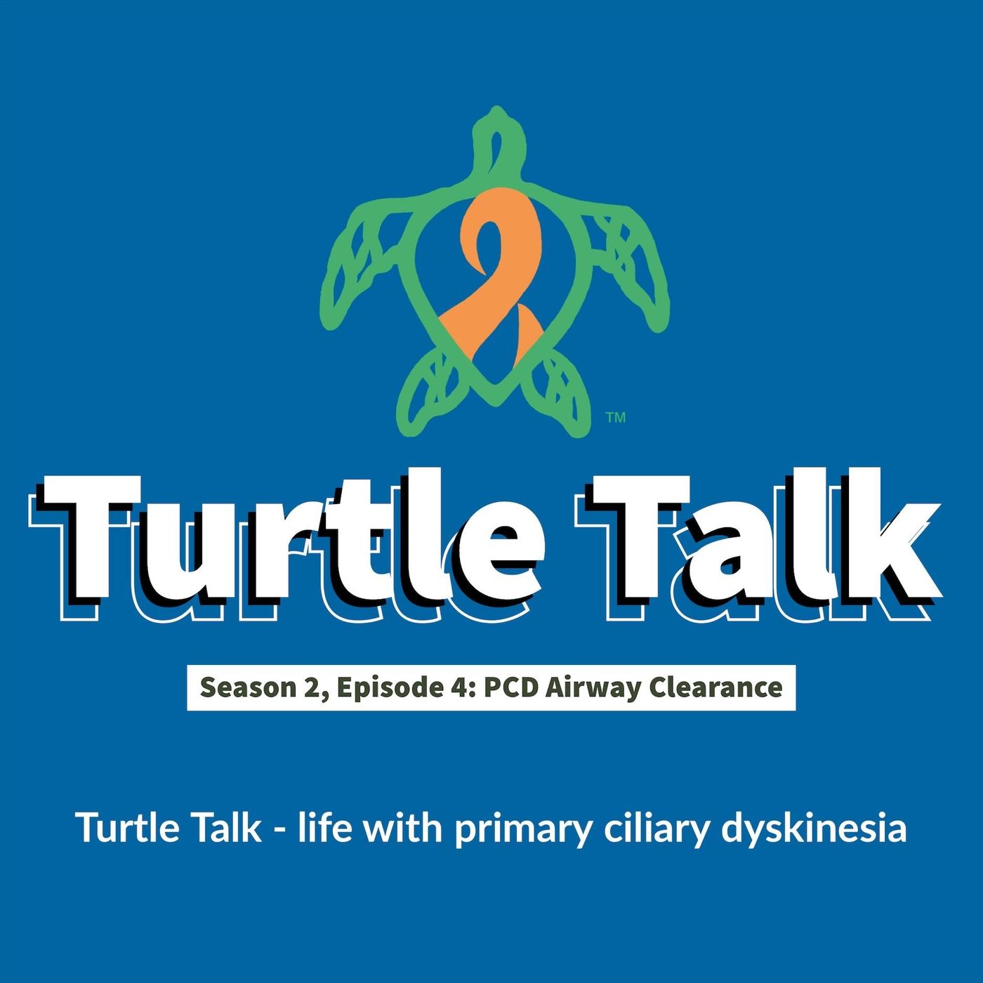 Turtle Talk