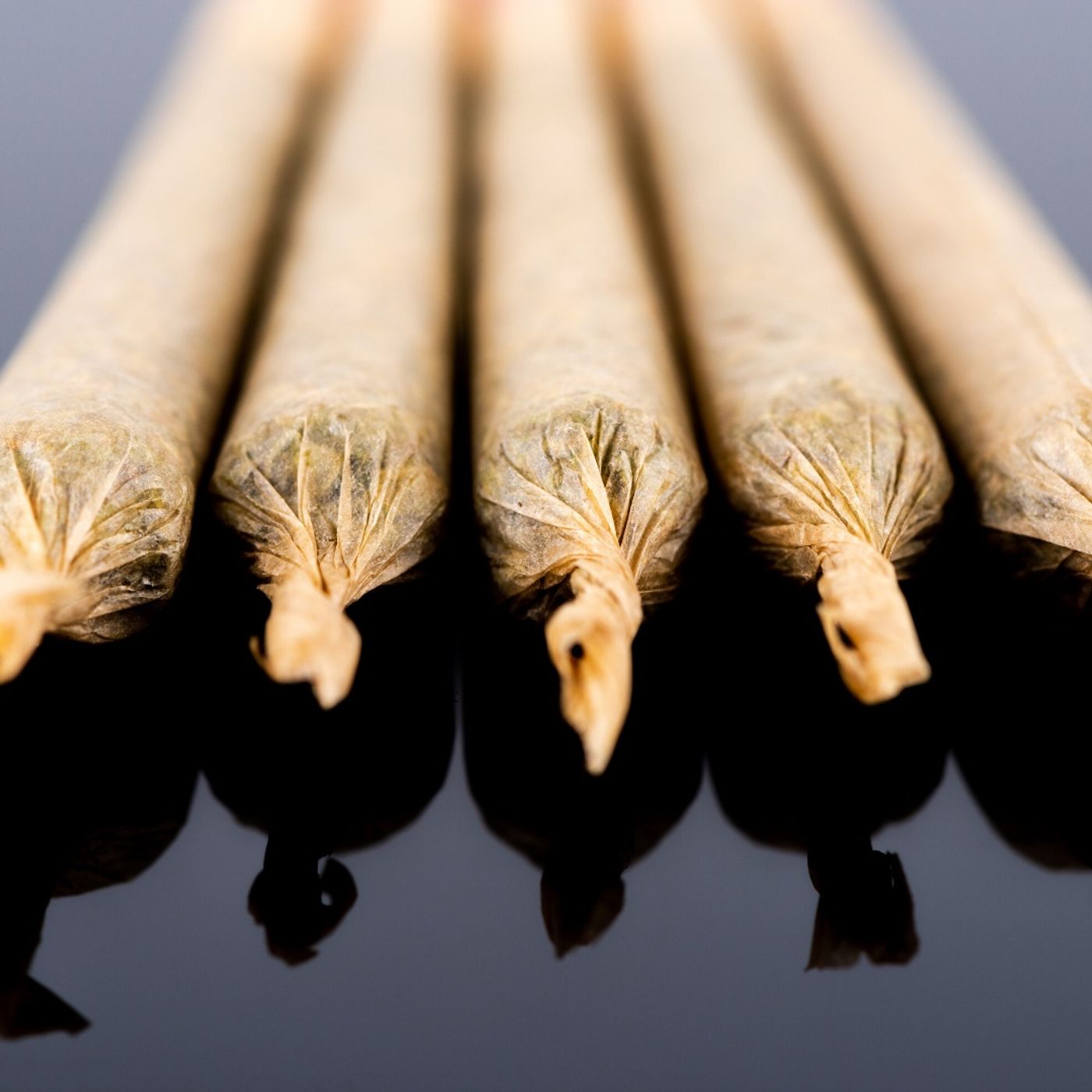 Cannabis Hispano