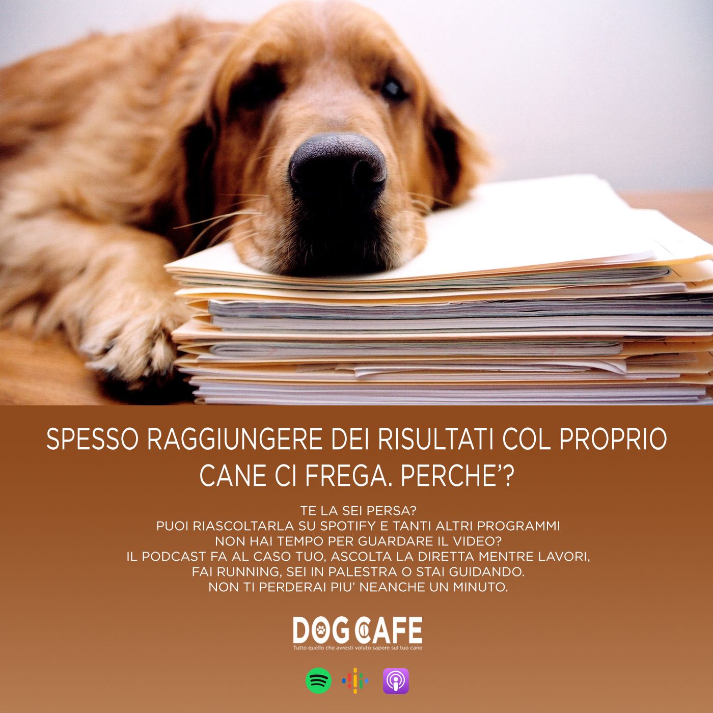 Dog Cafe Podcast