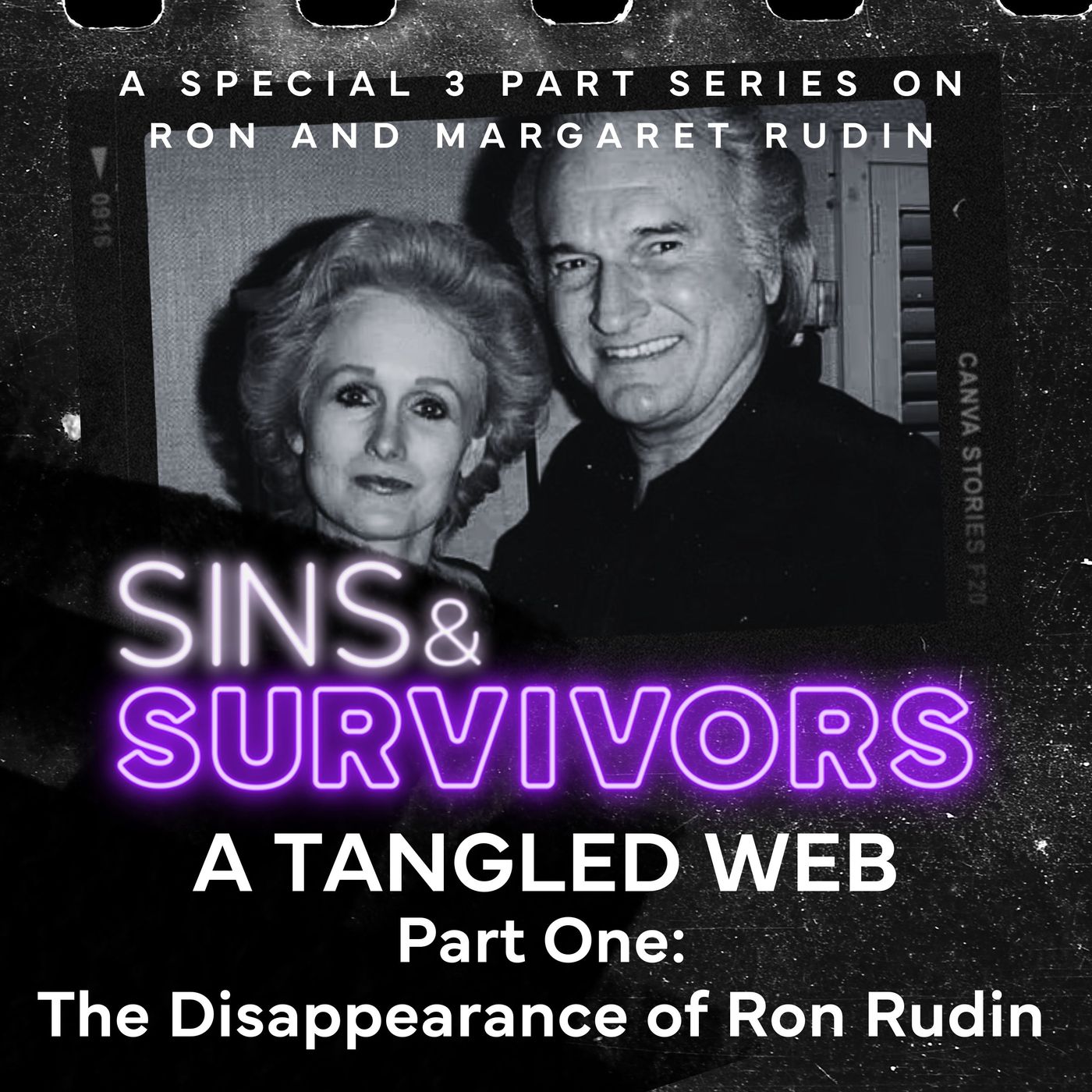 A Tangled Web Part 1: The Disappearance of Ron Rudin