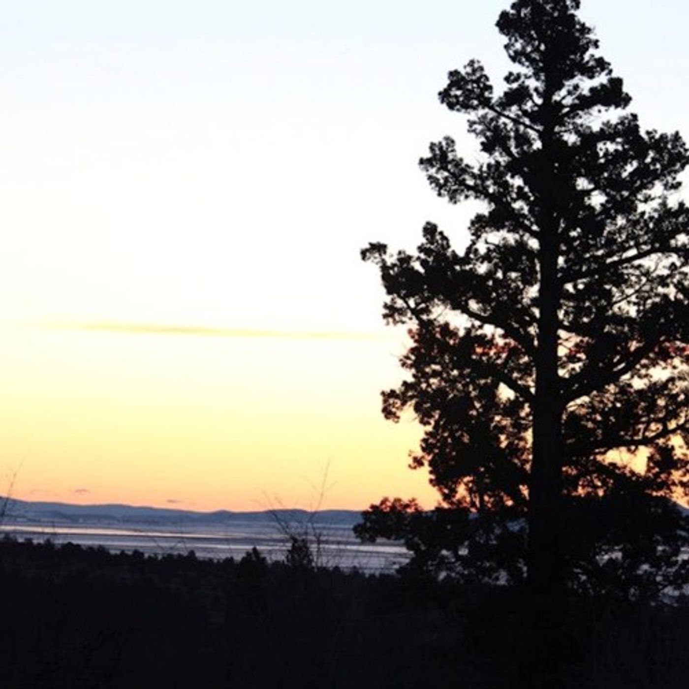 Groups Sue Over Lack Of Conservation Plan For Klamath Basin Refuges episode artwork