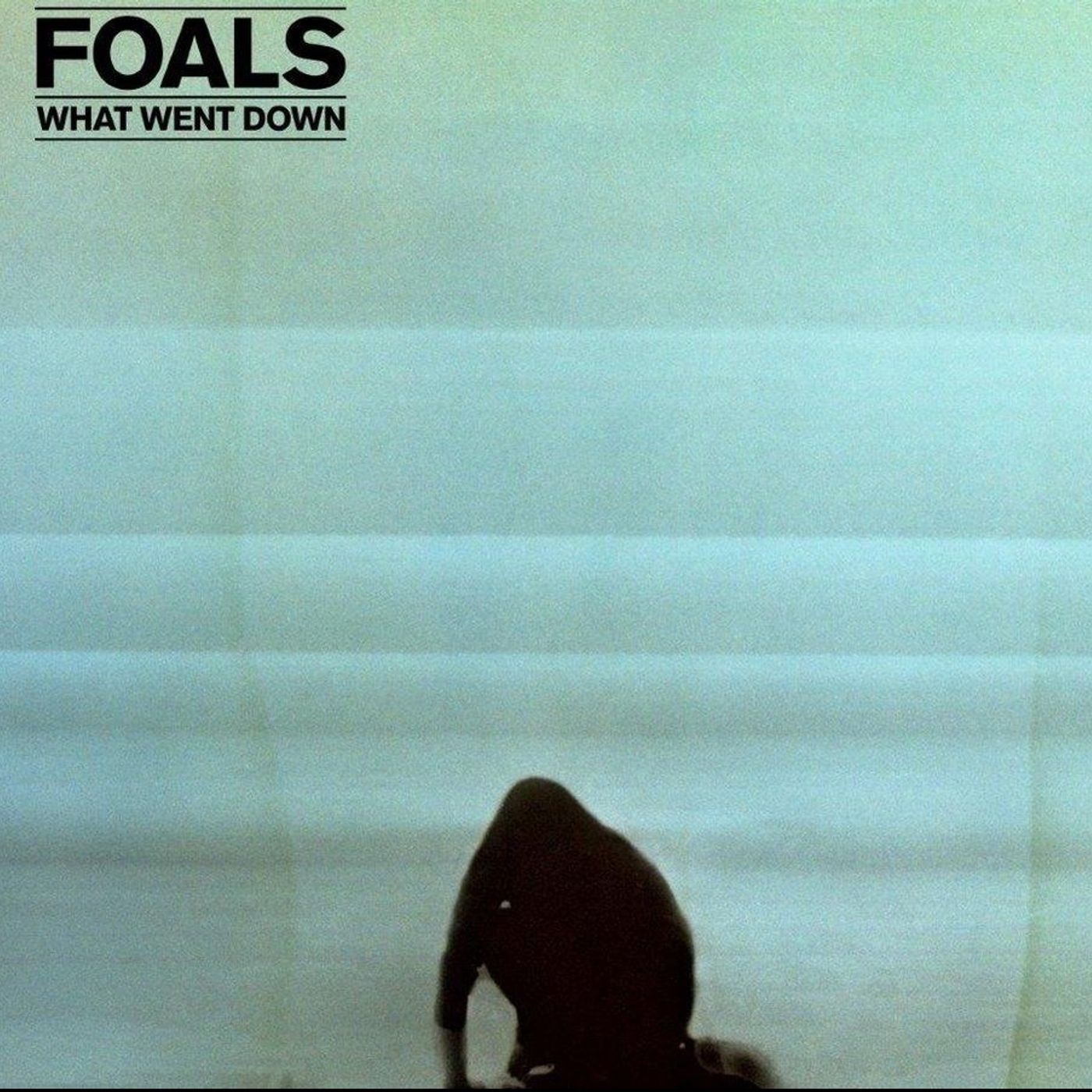 What went Down - Foals episode artwork